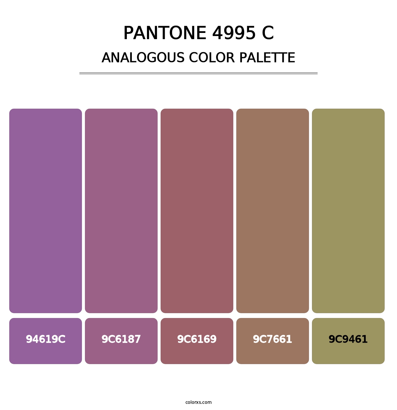 PANTONE 4995 C - Analogous Color Palette