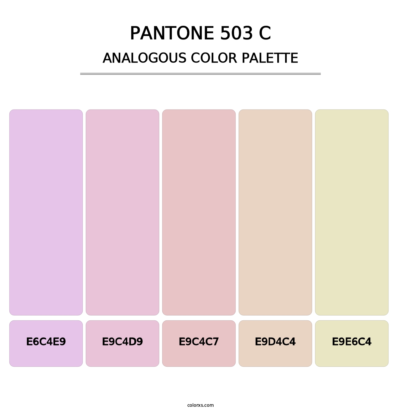 PANTONE 503 C - Analogous Color Palette