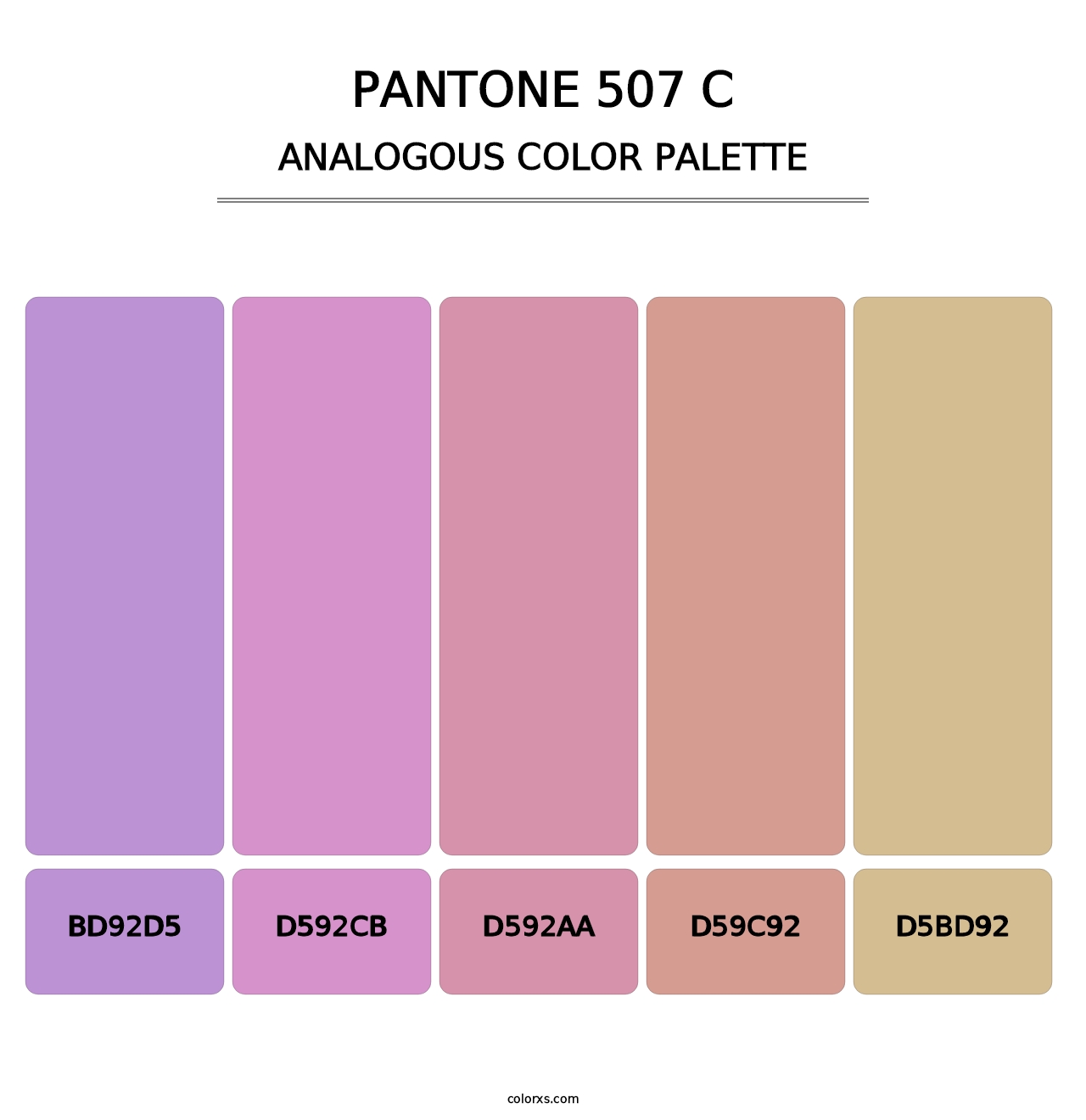 PANTONE 507 C - Analogous Color Palette