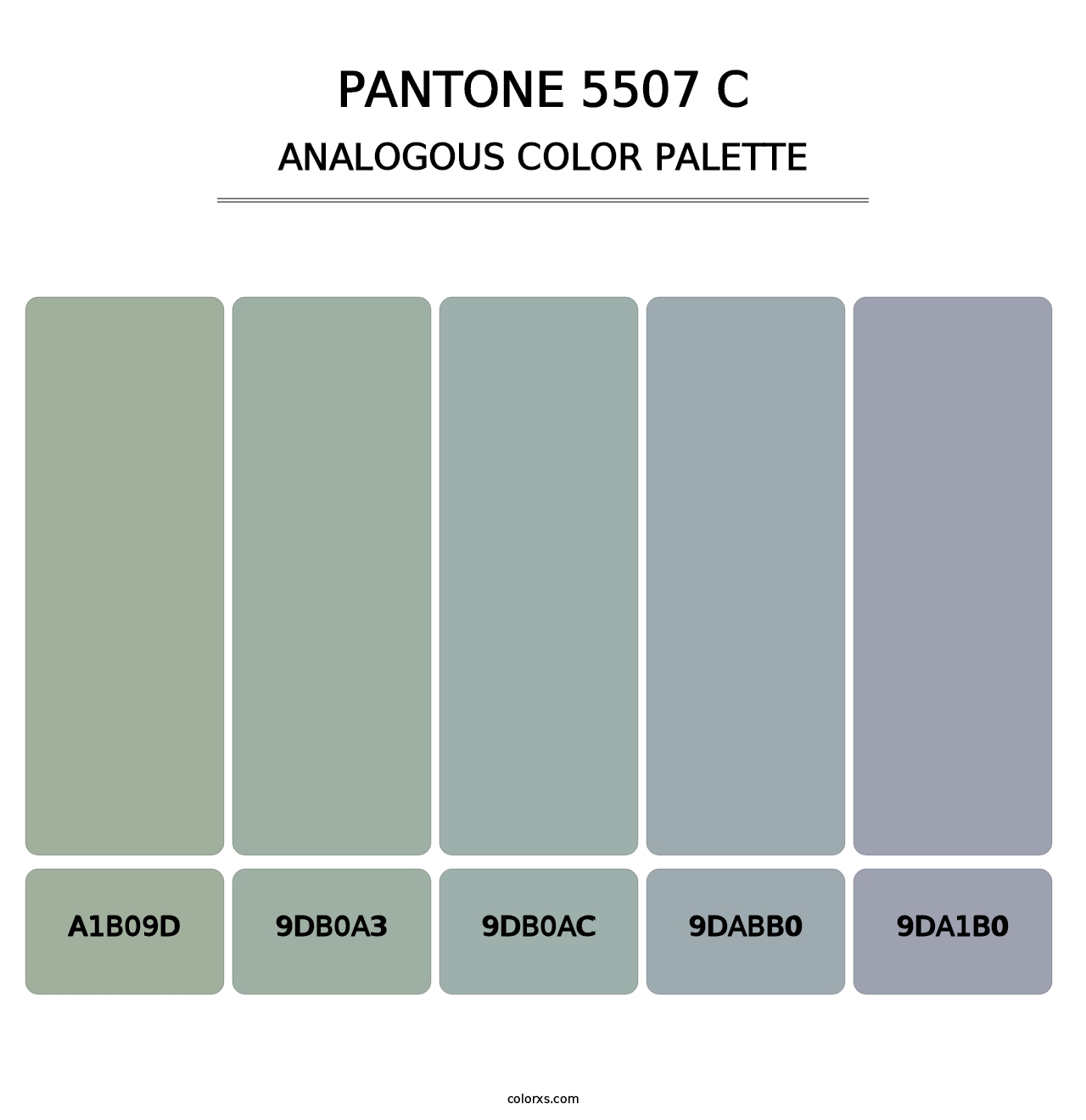 PANTONE 5507 C - Analogous Color Palette