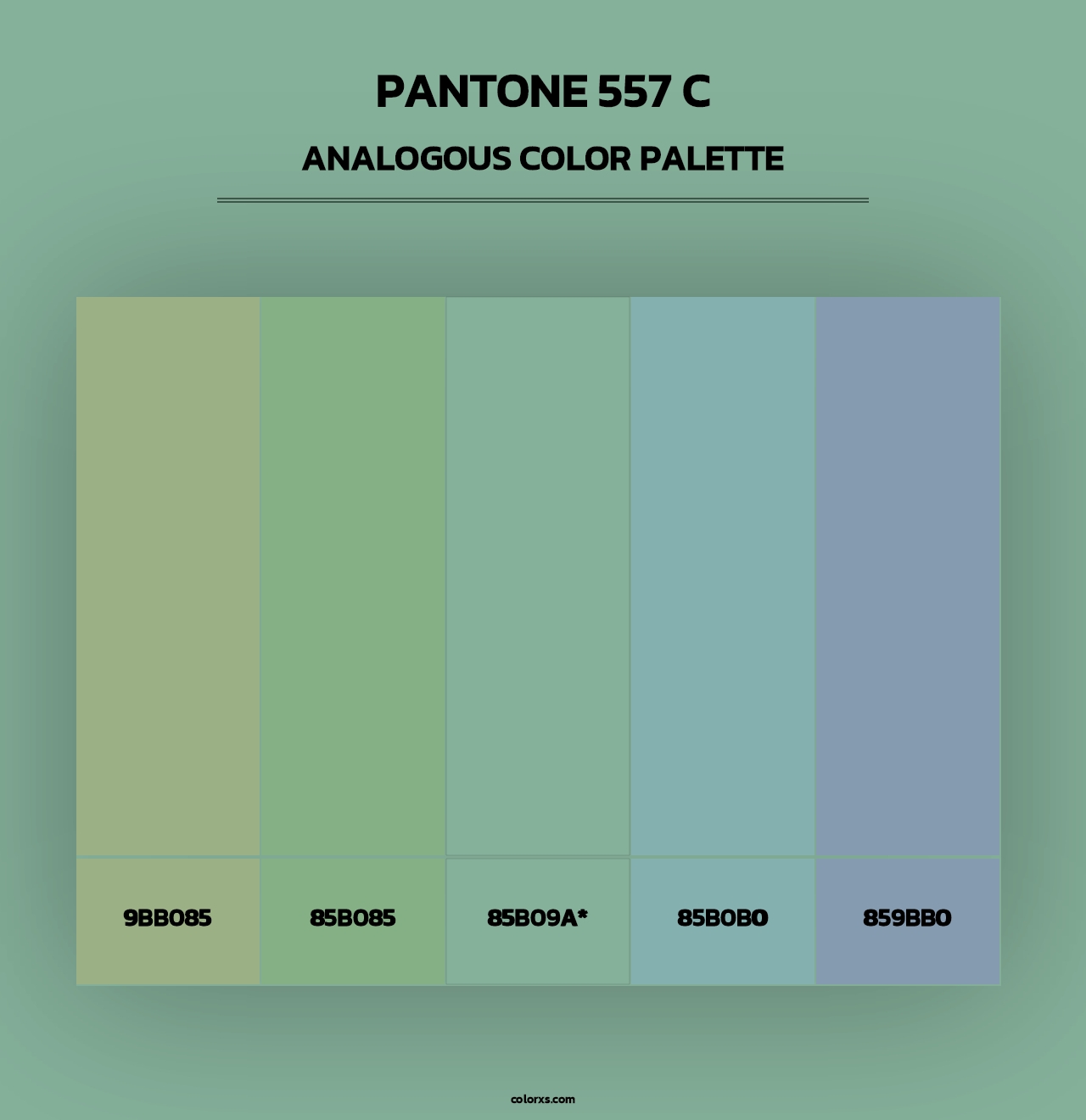 PANTONE 557 C - Analogous Color Palette