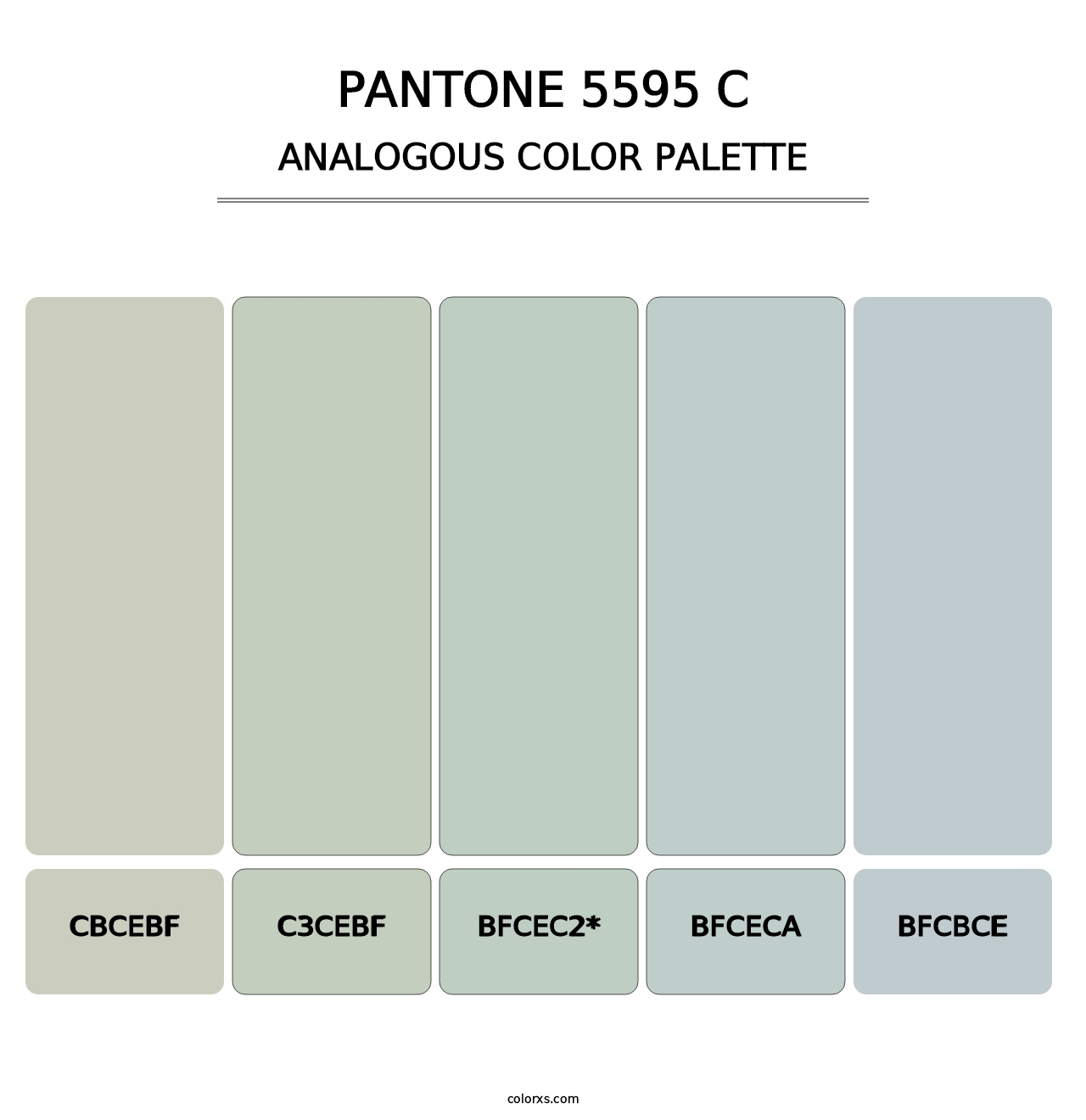 PANTONE 5595 C - Analogous Color Palette