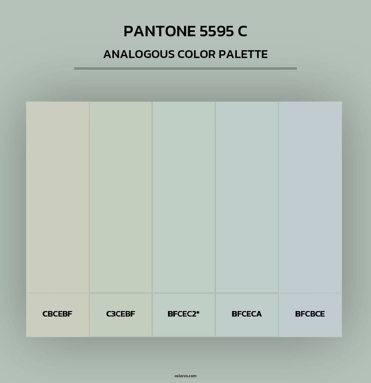 PANTONE 5595 C - Analogous Color Palette