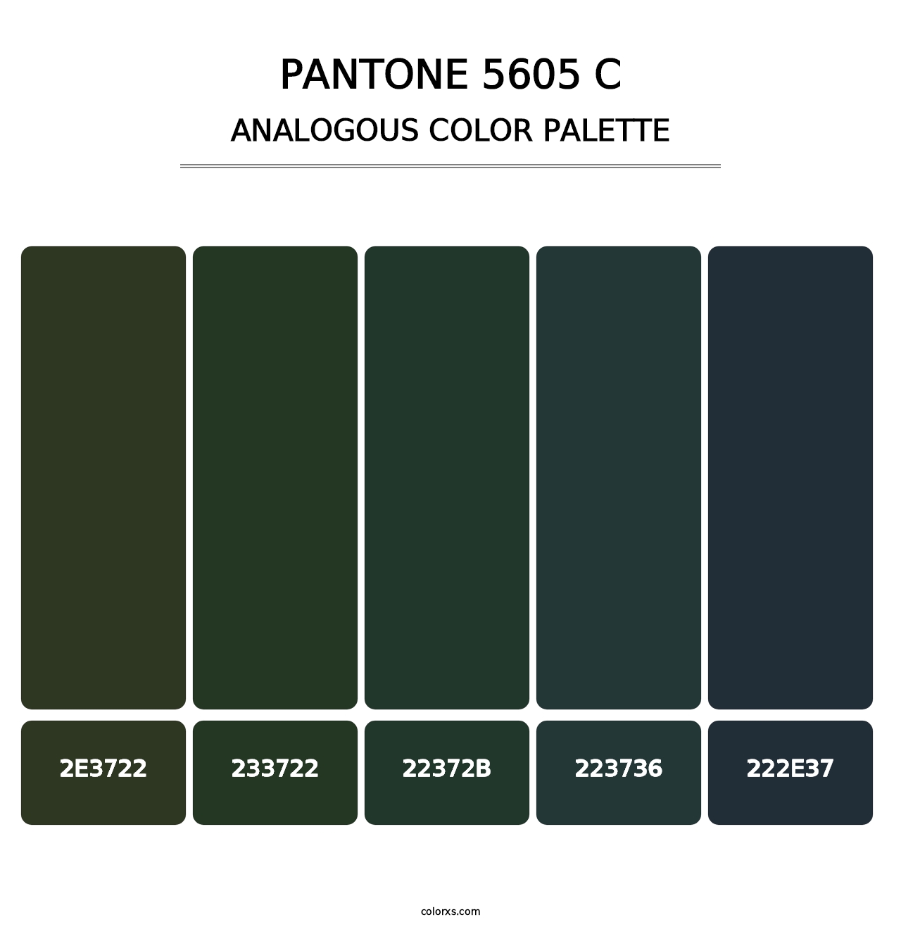 PANTONE 5605 C - Analogous Color Palette
