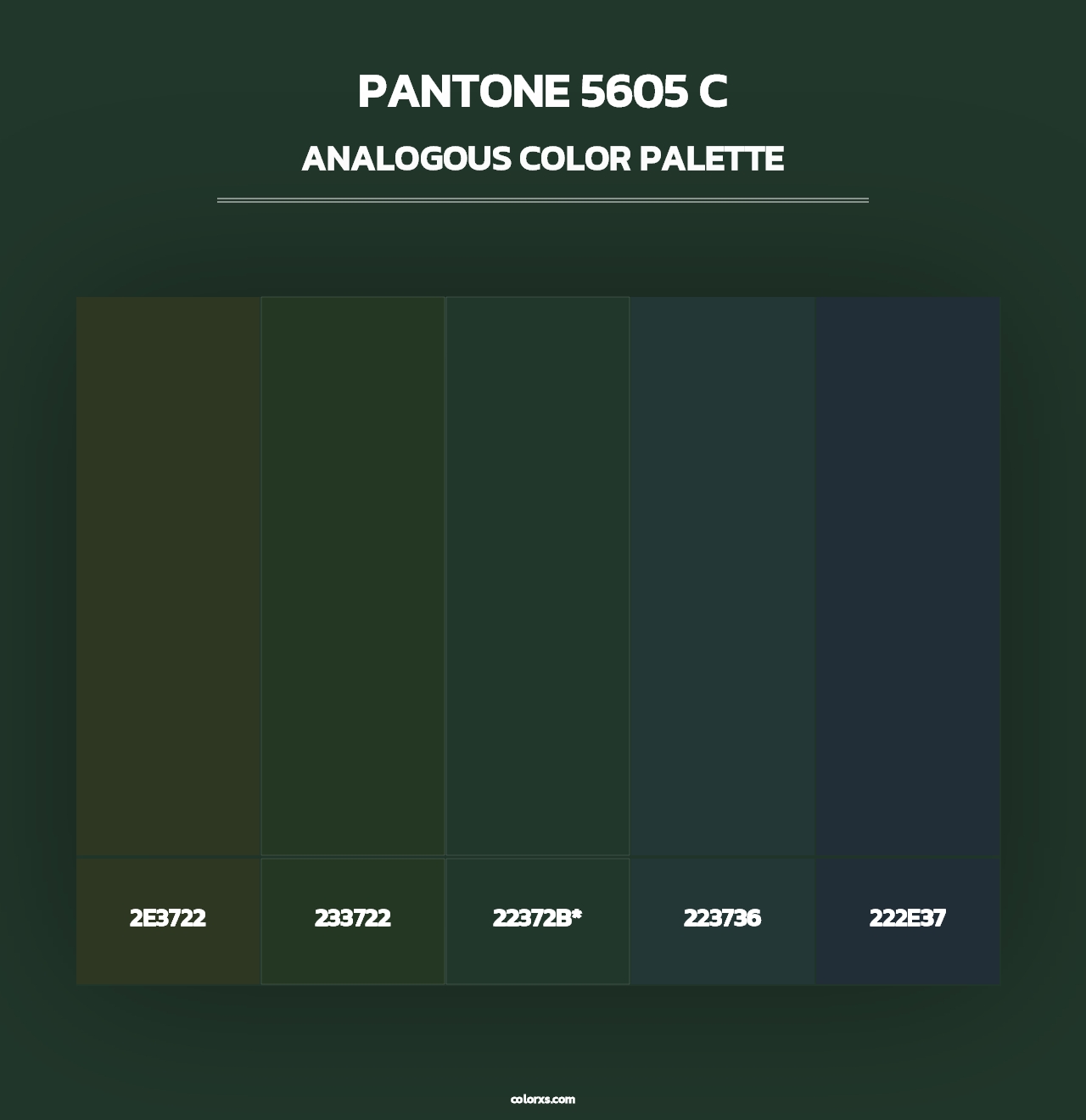 PANTONE 5605 C - Analogous Color Palette