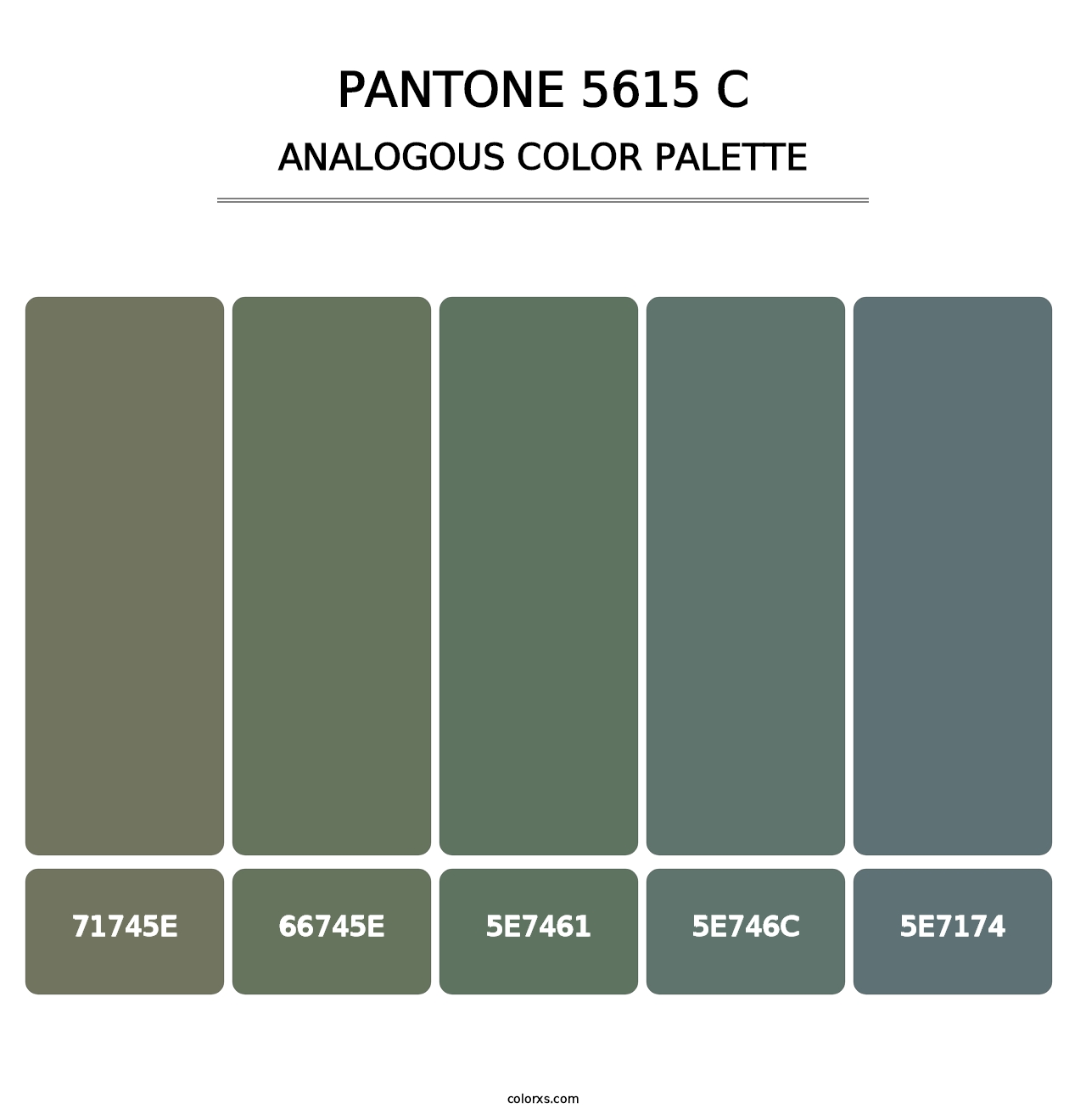 PANTONE 5615 C - Analogous Color Palette
