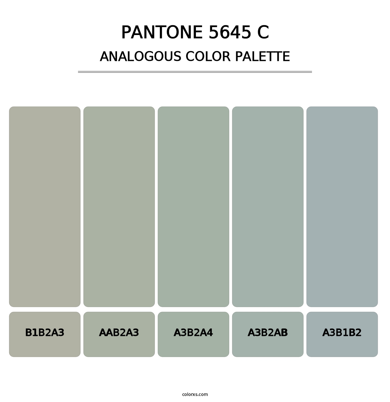 PANTONE 5645 C - Analogous Color Palette