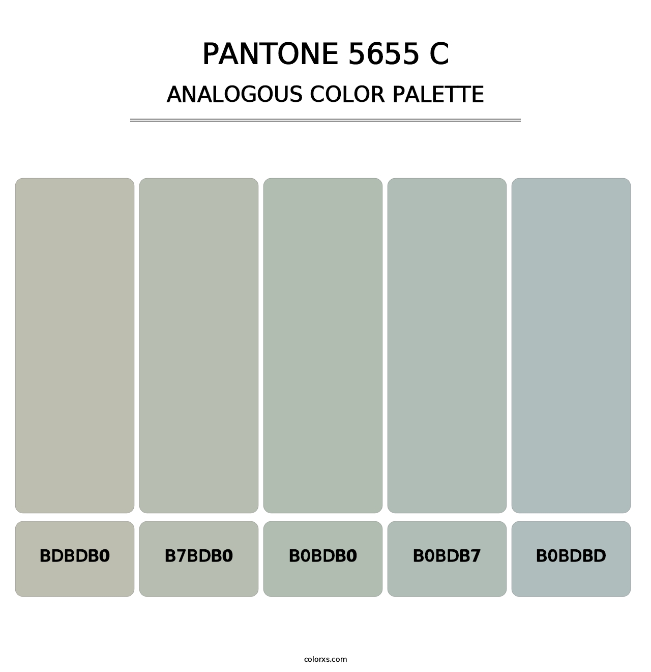 PANTONE 5655 C - Analogous Color Palette