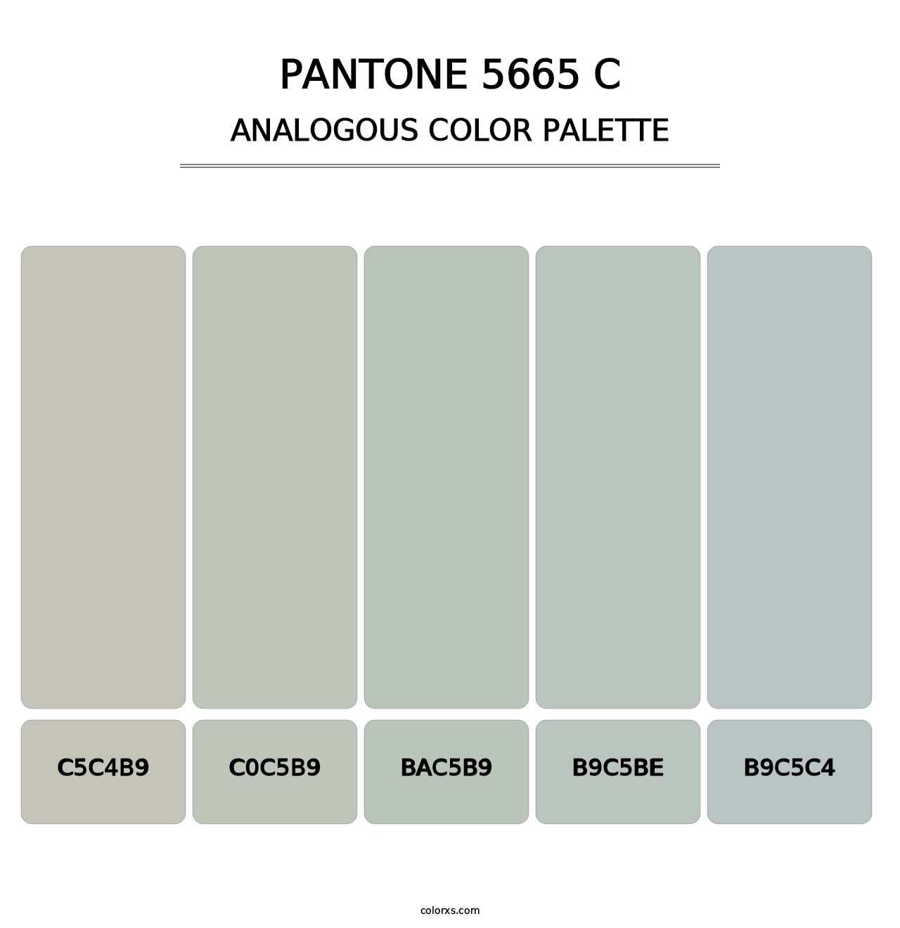 PANTONE 5665 C - Analogous Color Palette