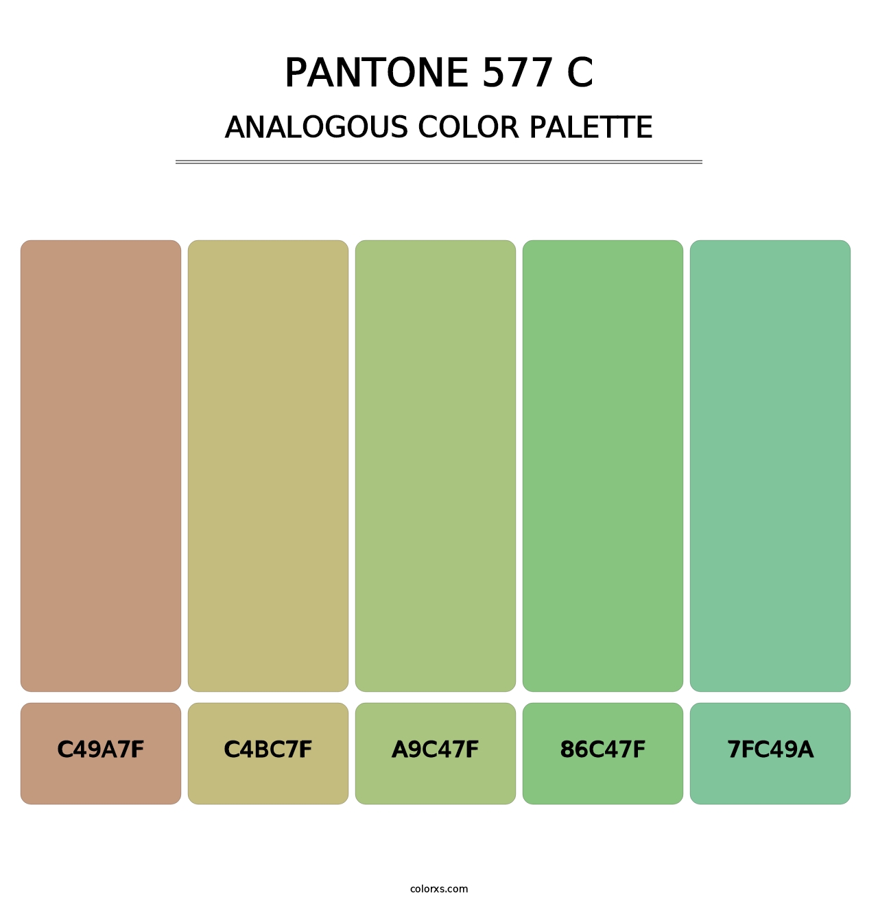 PANTONE 577 C - Analogous Color Palette