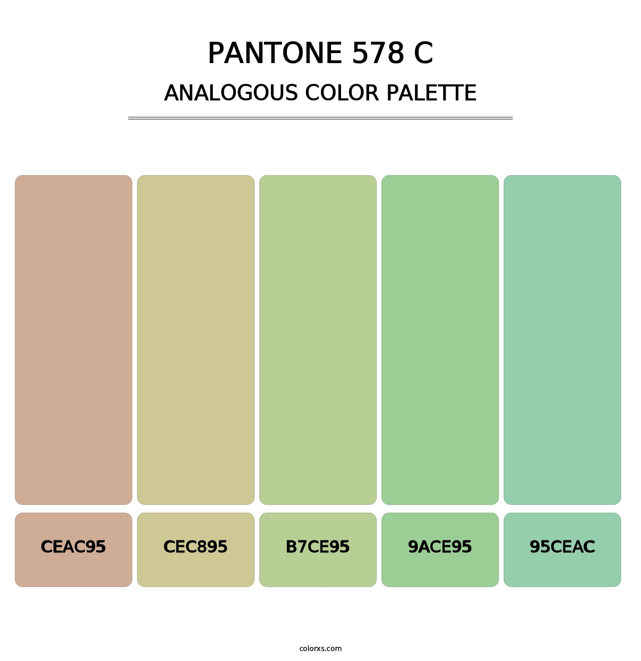 PANTONE 578 C - Analogous Color Palette