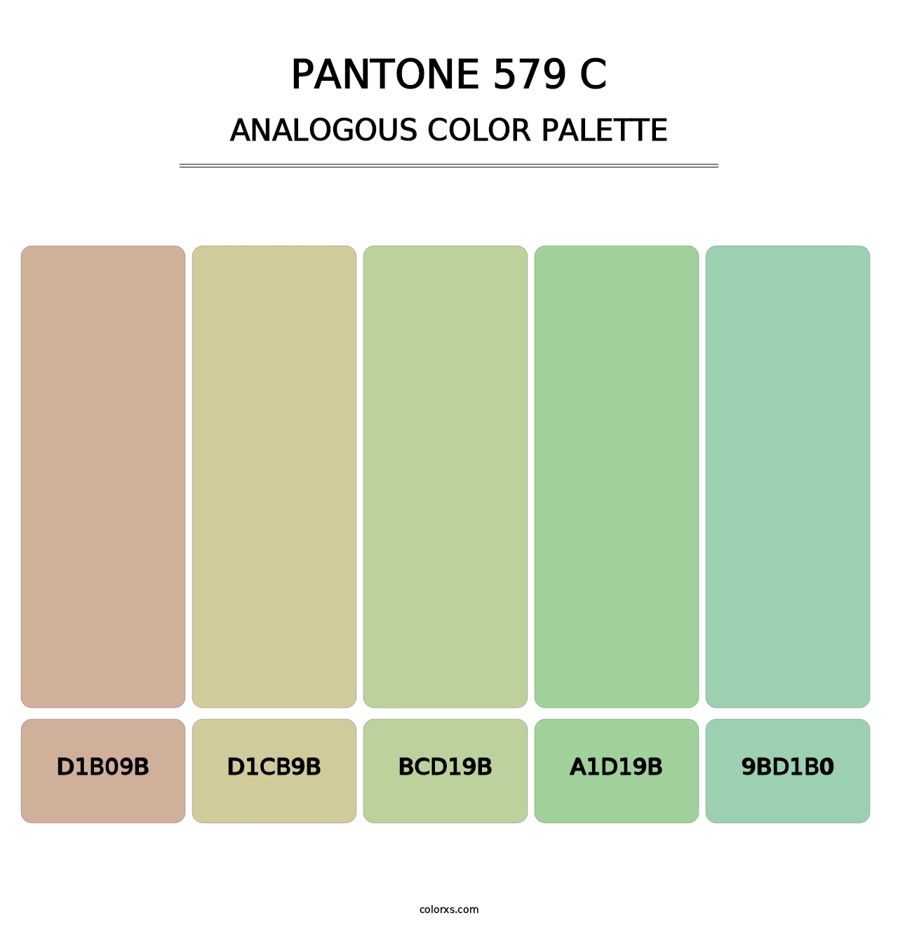 PANTONE 579 C - Analogous Color Palette