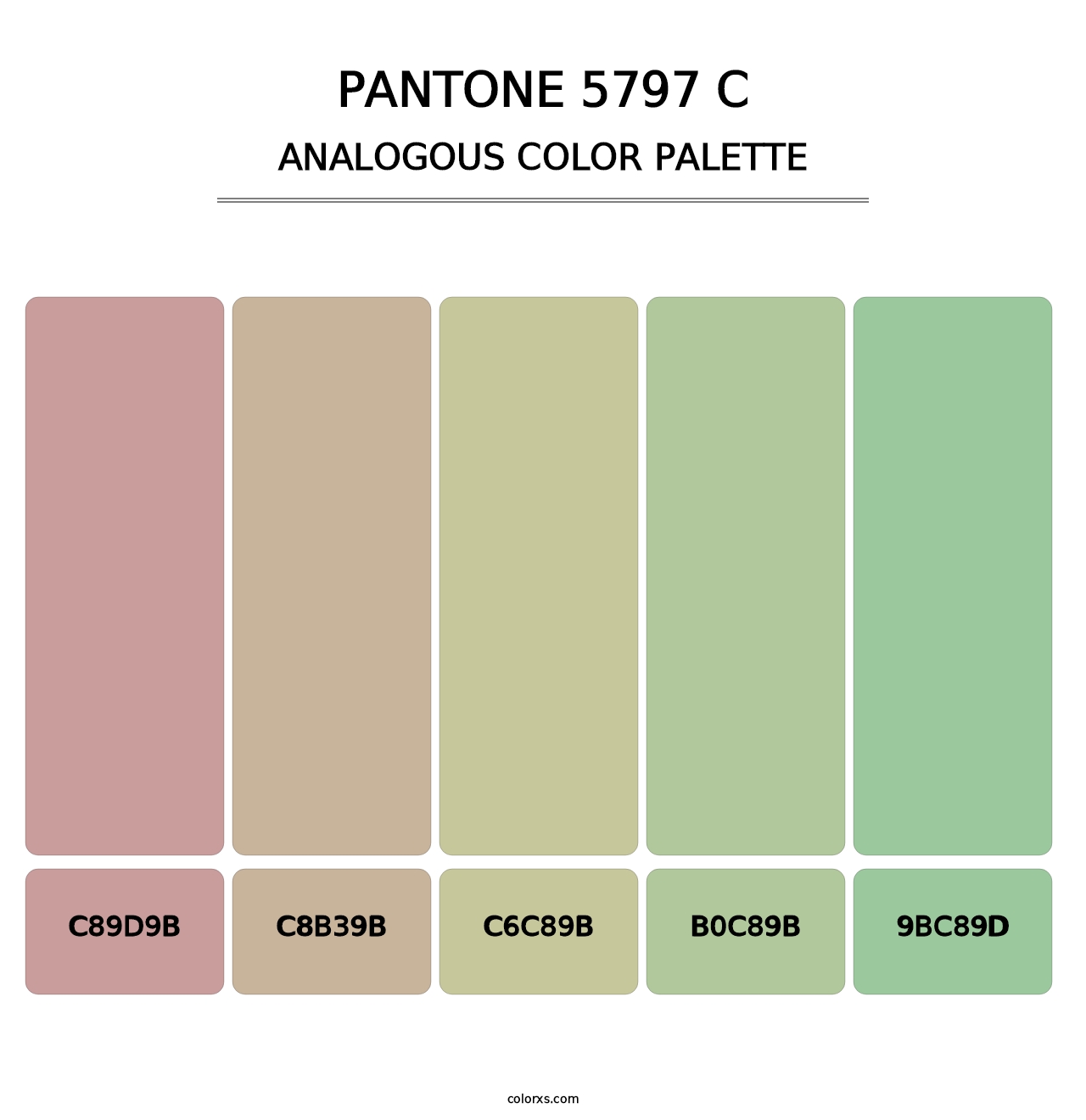 PANTONE 5797 C - Analogous Color Palette