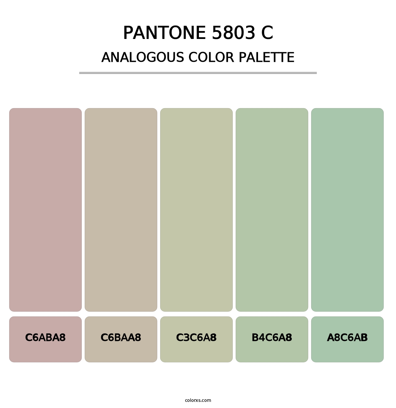 PANTONE 5803 C - Analogous Color Palette