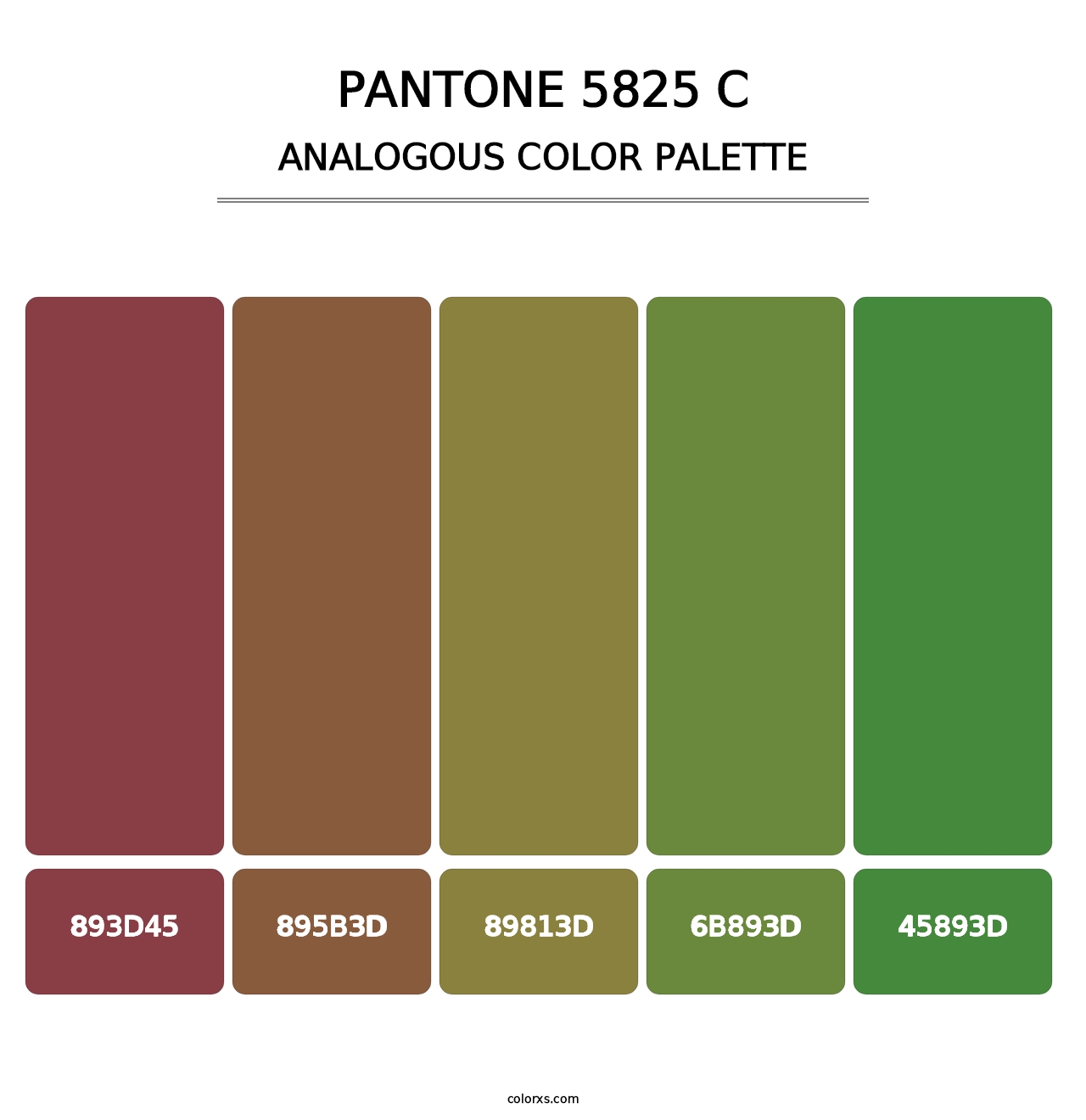 PANTONE 5825 C - Analogous Color Palette