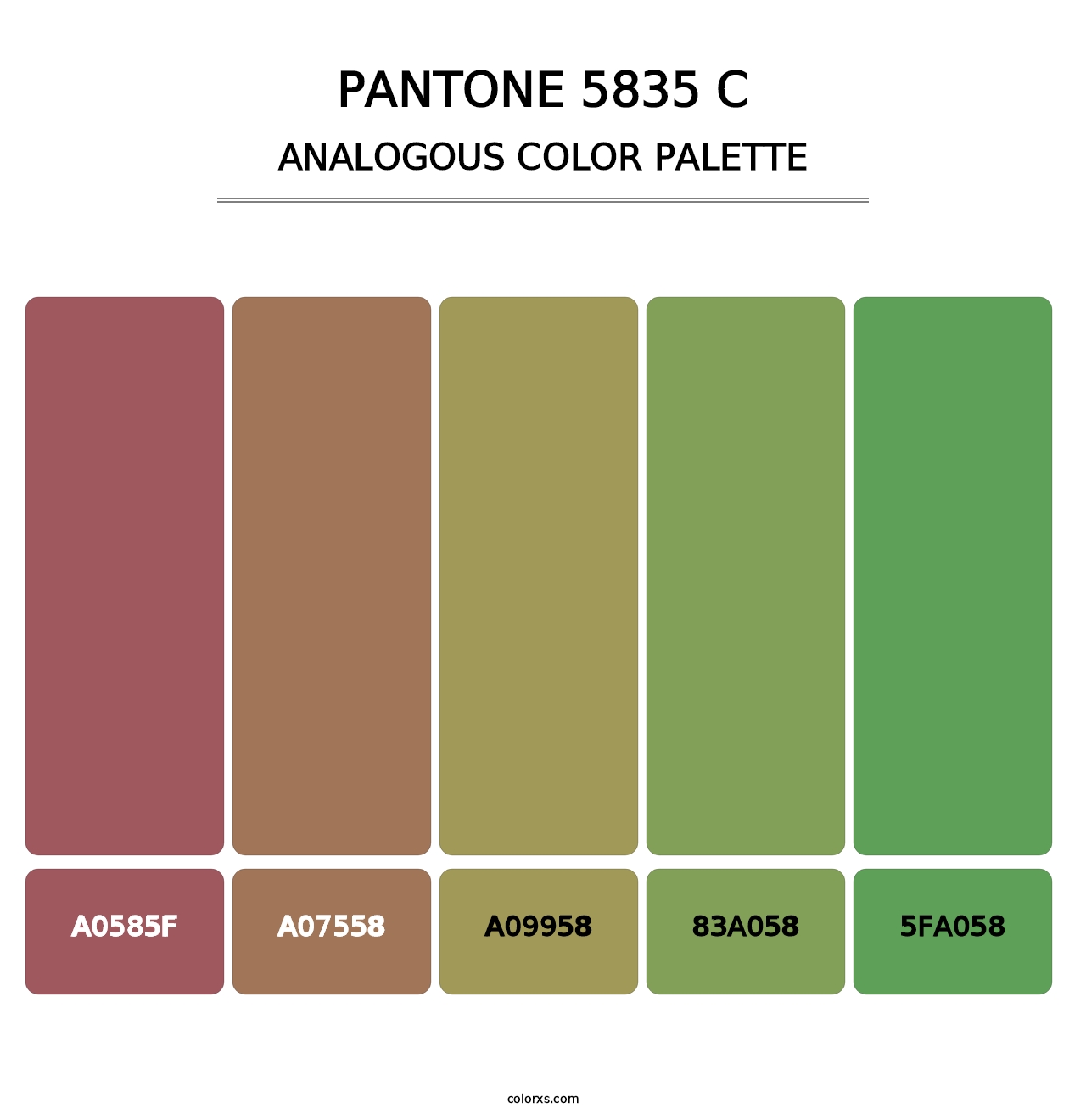 PANTONE 5835 C - Analogous Color Palette