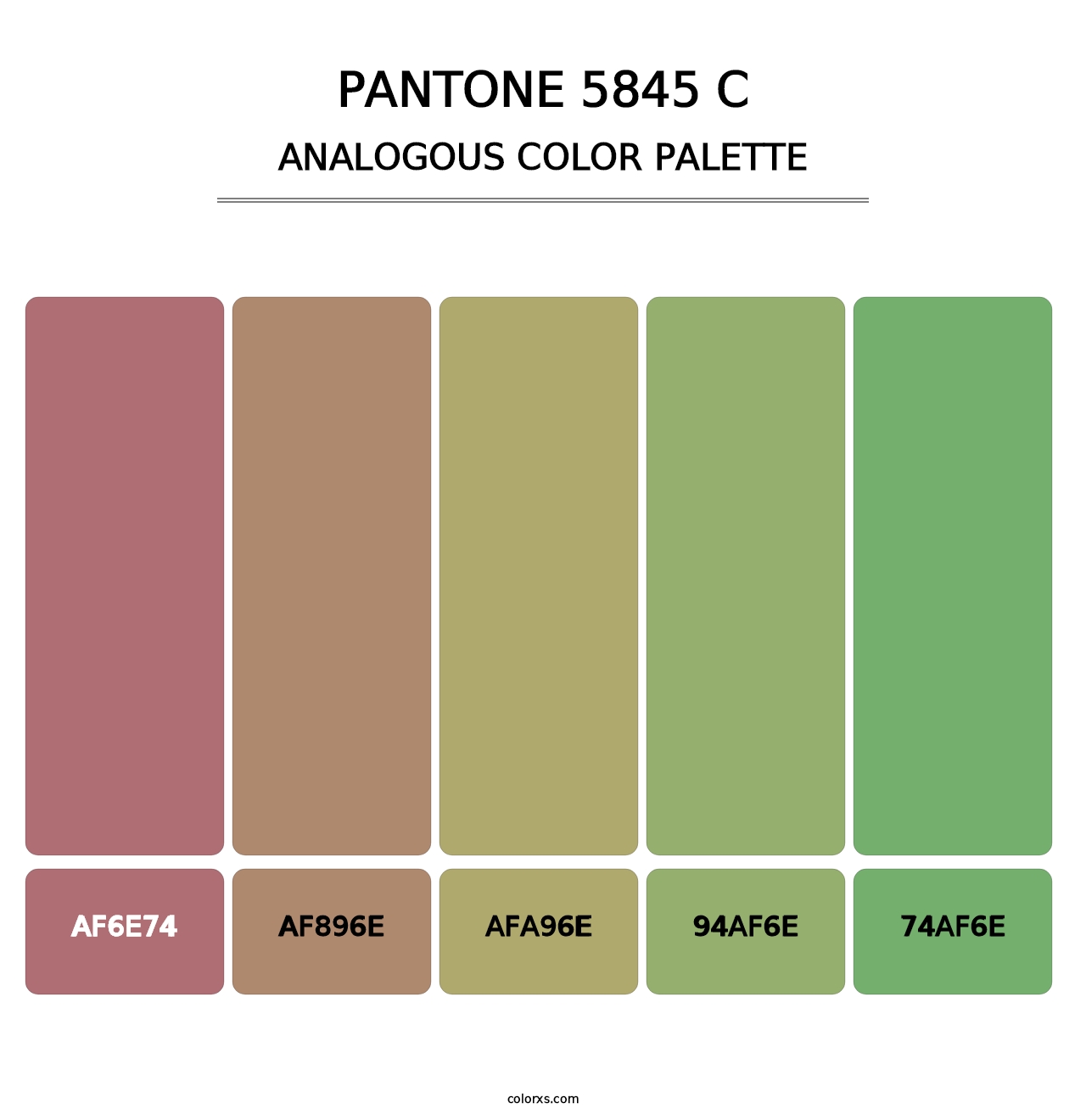 PANTONE 5845 C - Analogous Color Palette