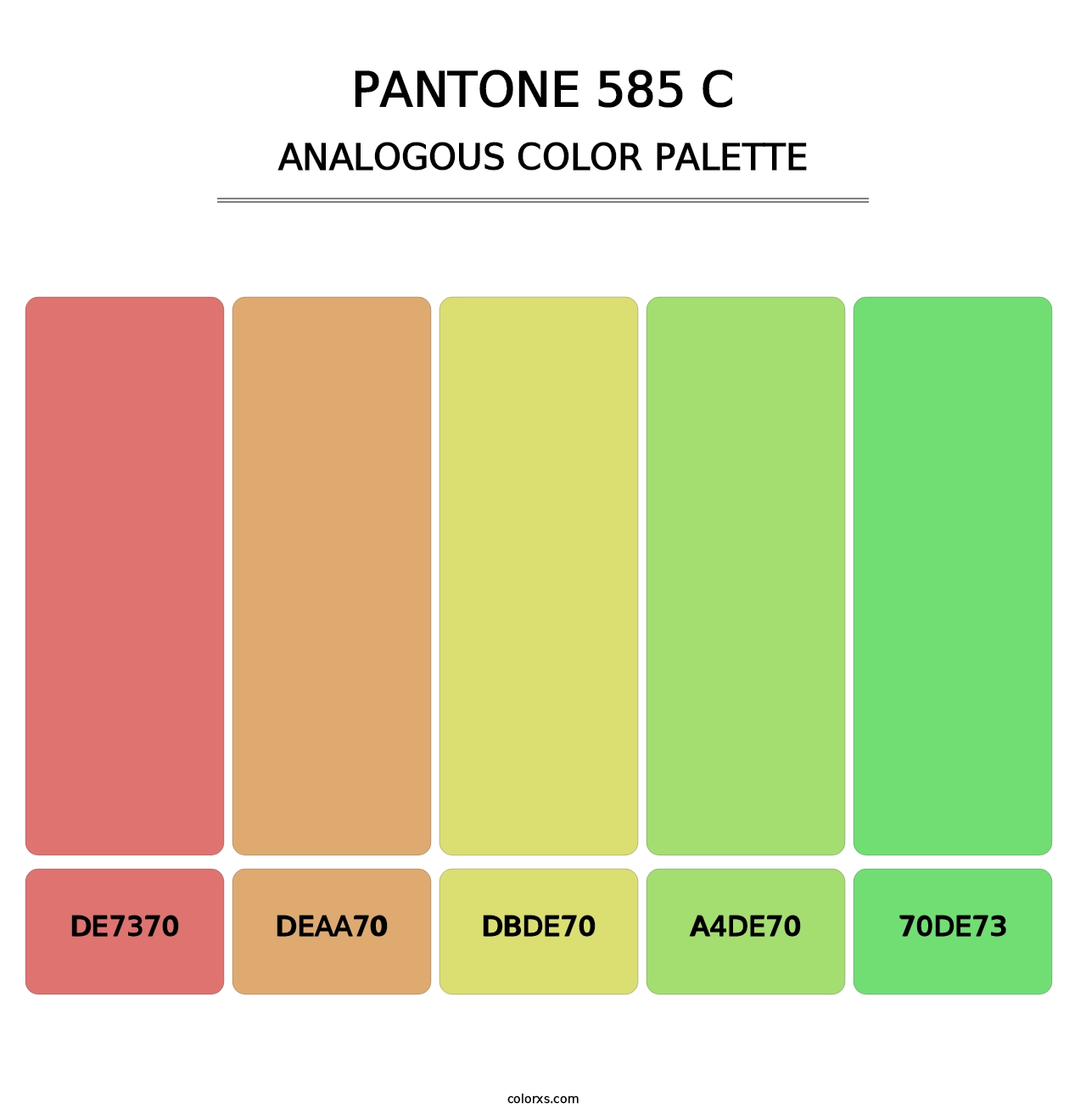 PANTONE 585 C - Analogous Color Palette