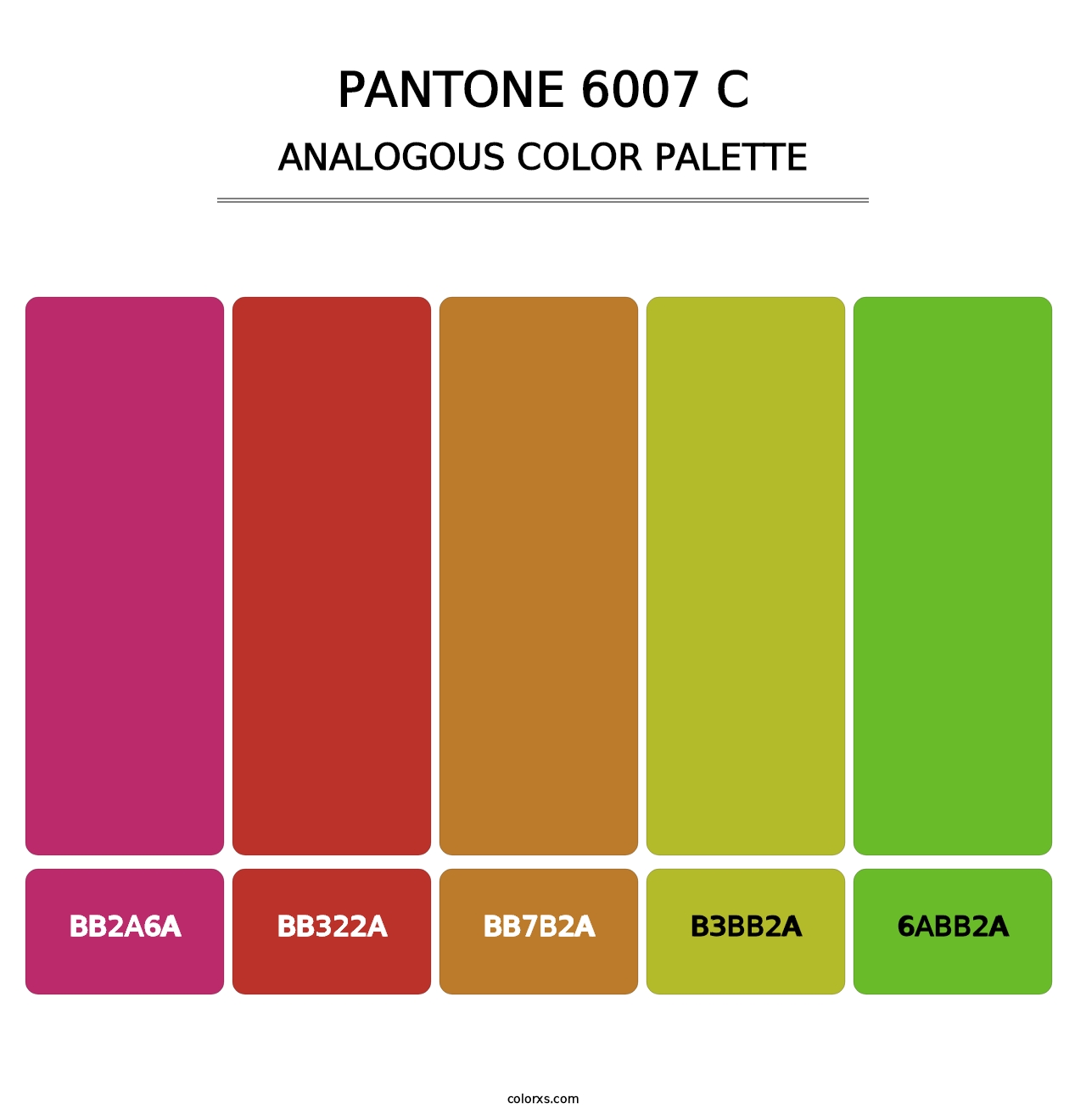 PANTONE 6007 C - Analogous Color Palette