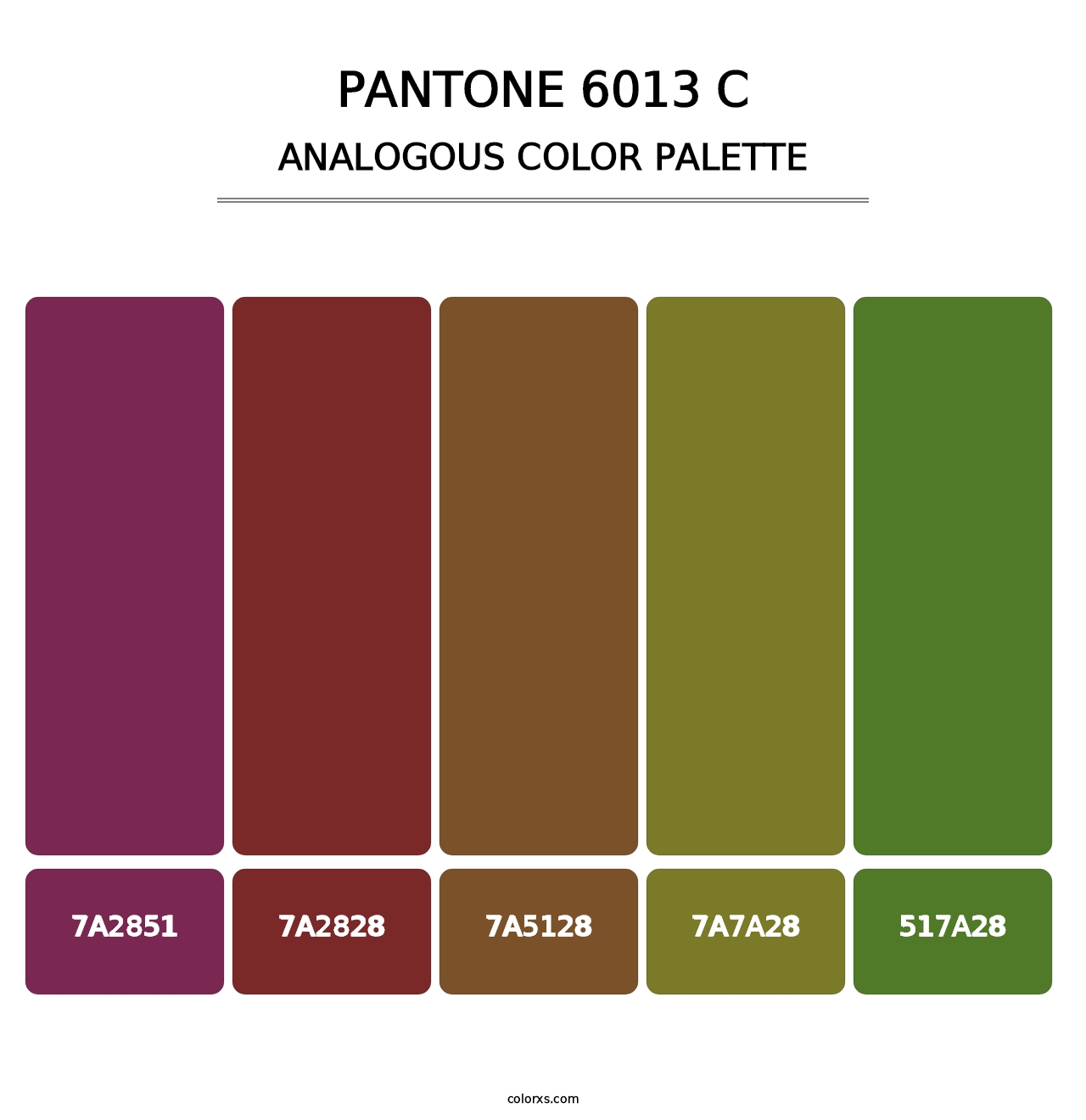 PANTONE 6013 C - Analogous Color Palette