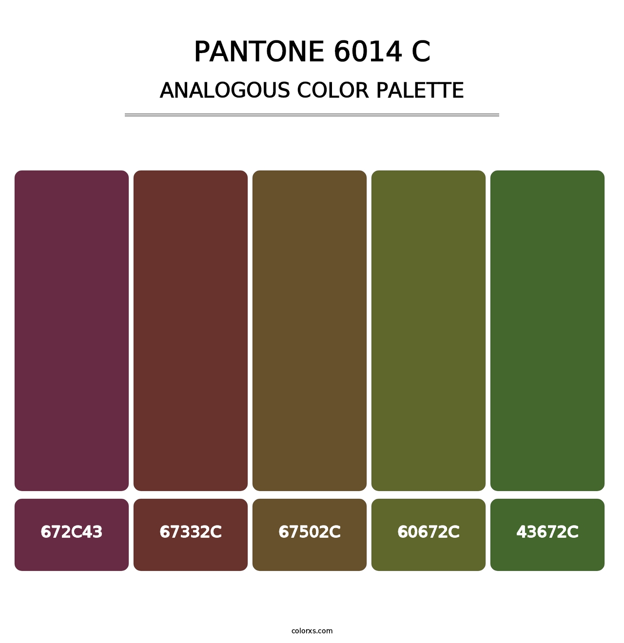 PANTONE 6014 C - Analogous Color Palette