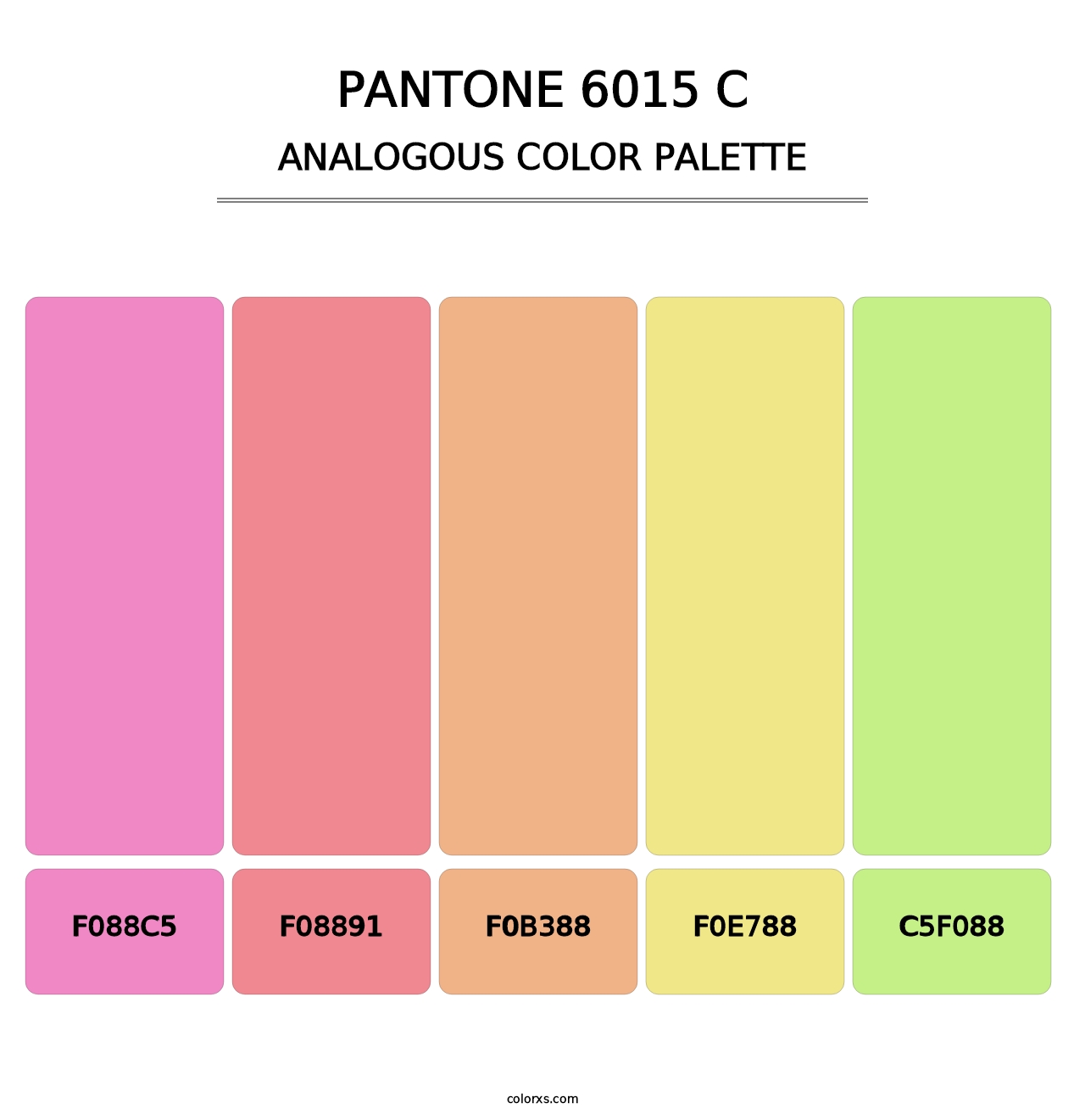 PANTONE 6015 C - Analogous Color Palette