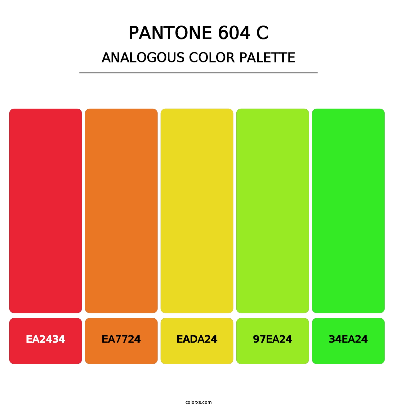 PANTONE 604 C - Analogous Color Palette