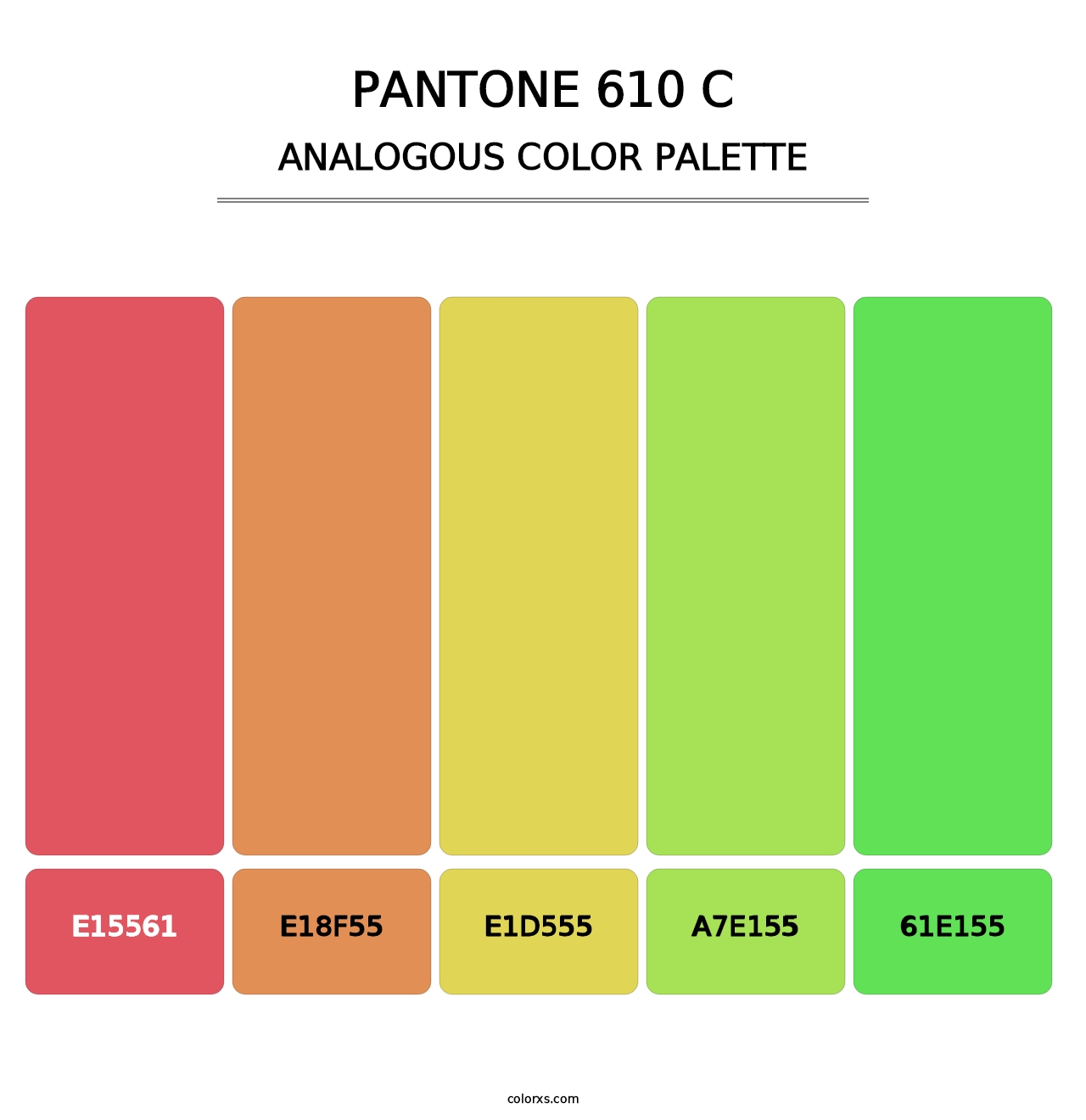 PANTONE 610 C - Analogous Color Palette