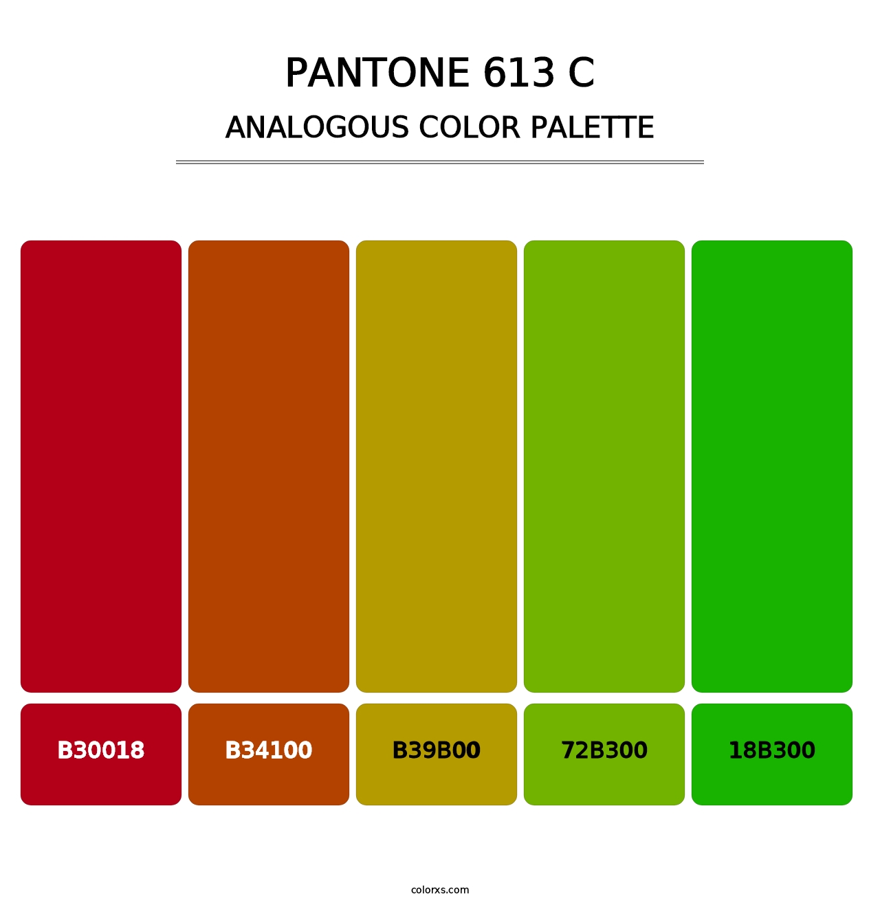 PANTONE 613 C - Analogous Color Palette