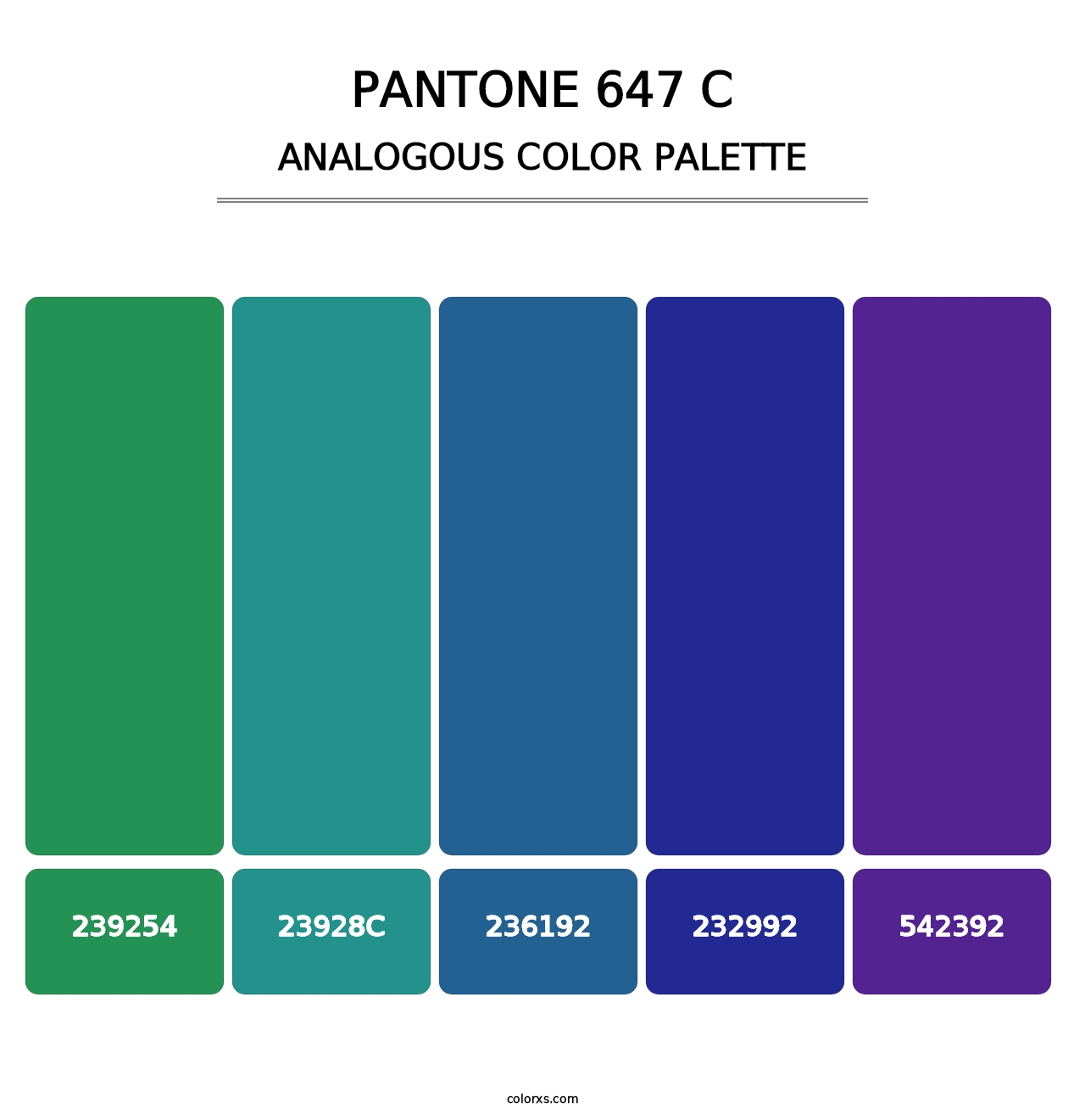 PANTONE 647 C - Analogous Color Palette