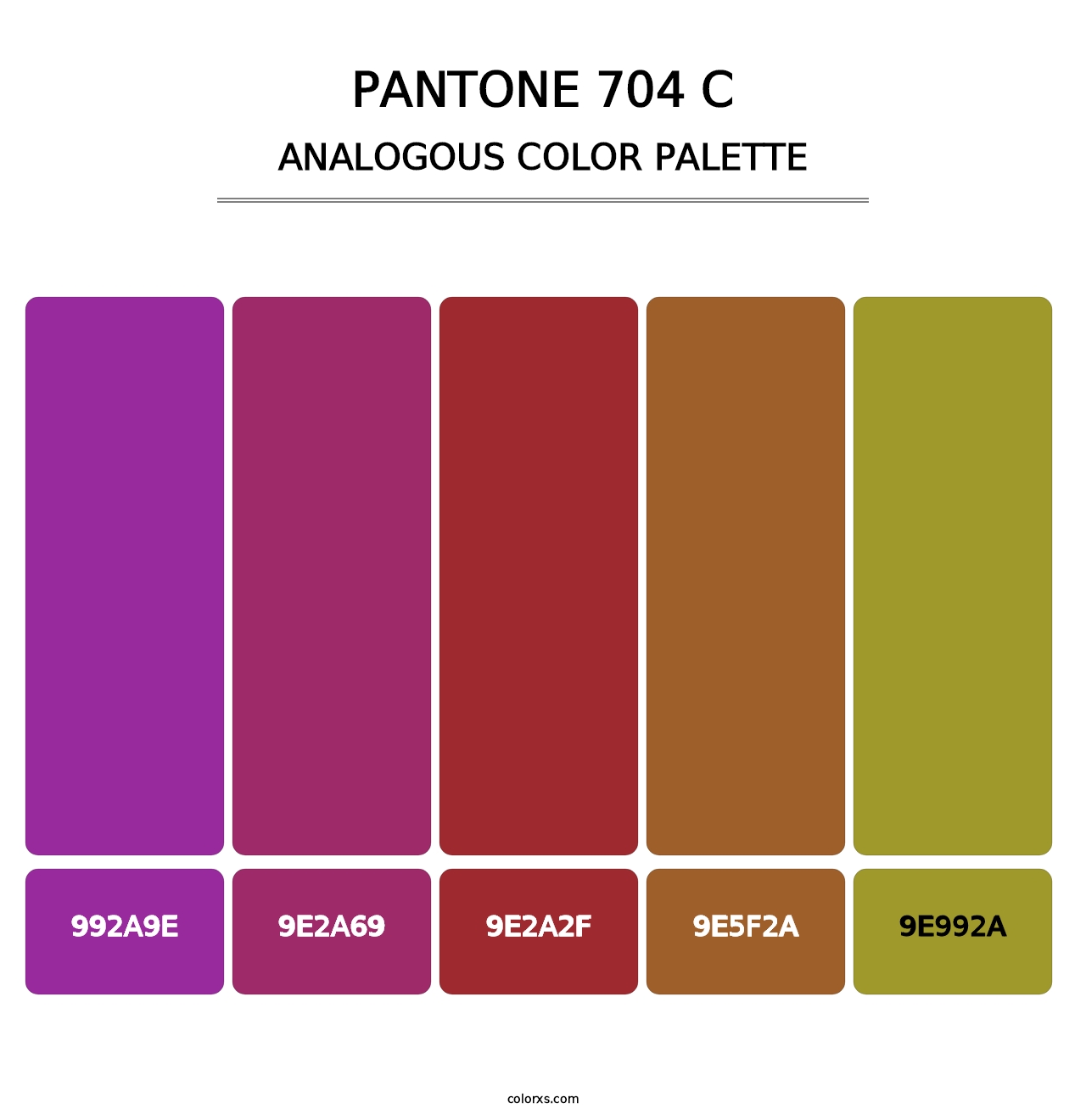 PANTONE 704 C - Analogous Color Palette