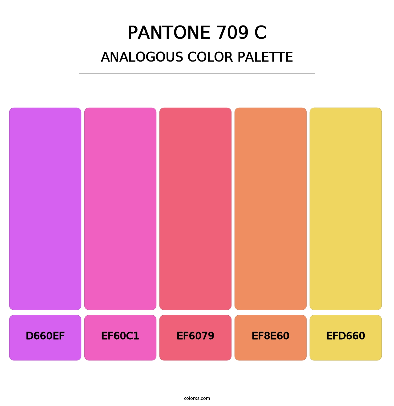 PANTONE 709 C - Analogous Color Palette