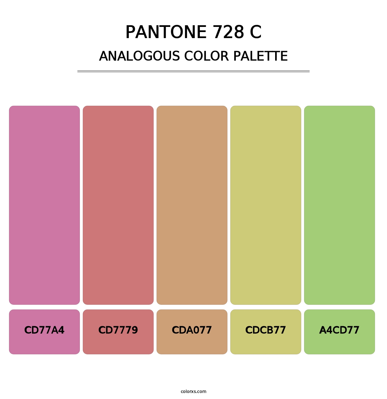 PANTONE 728 C - Analogous Color Palette