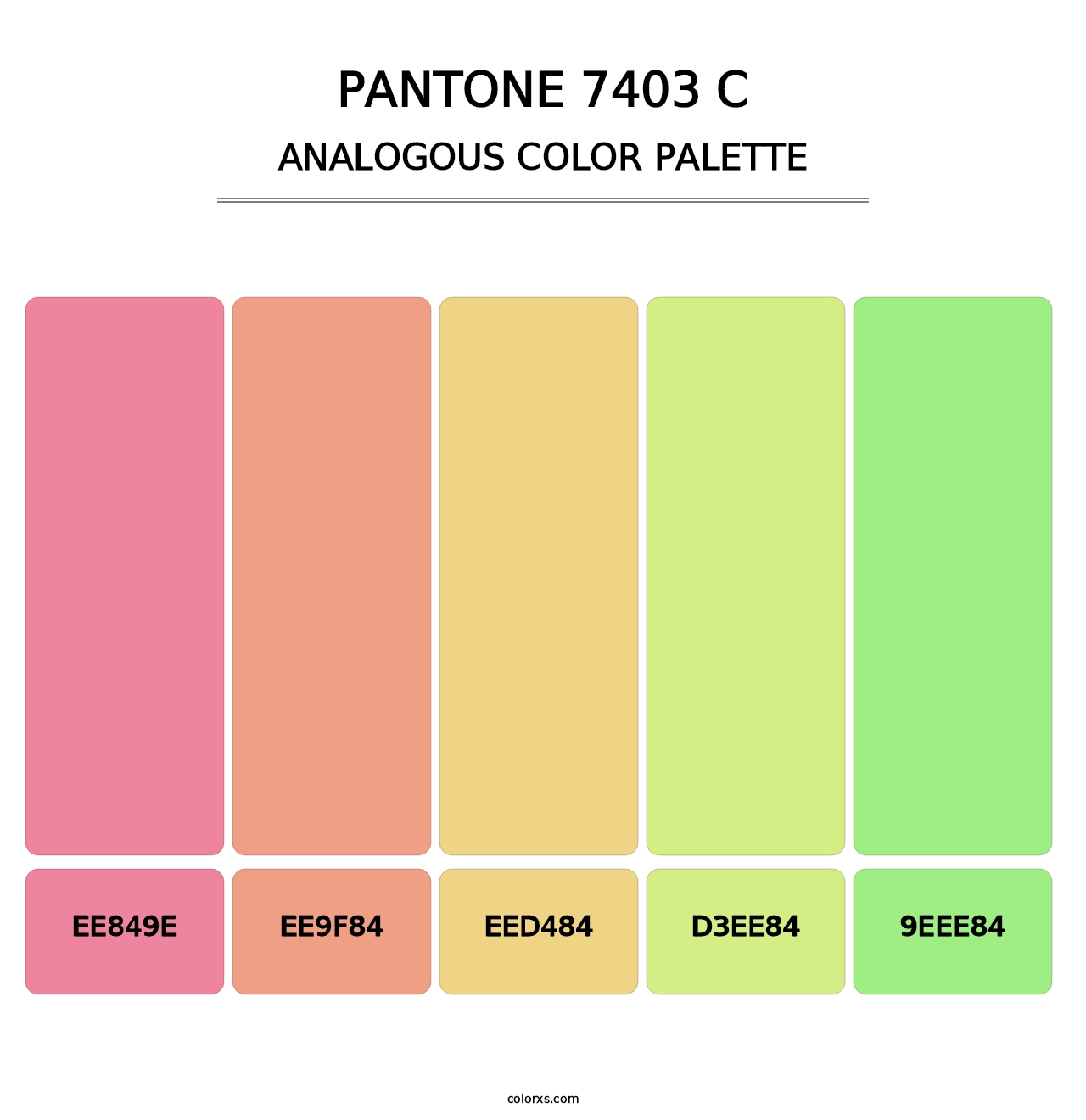 PANTONE 7403 C - Analogous Color Palette