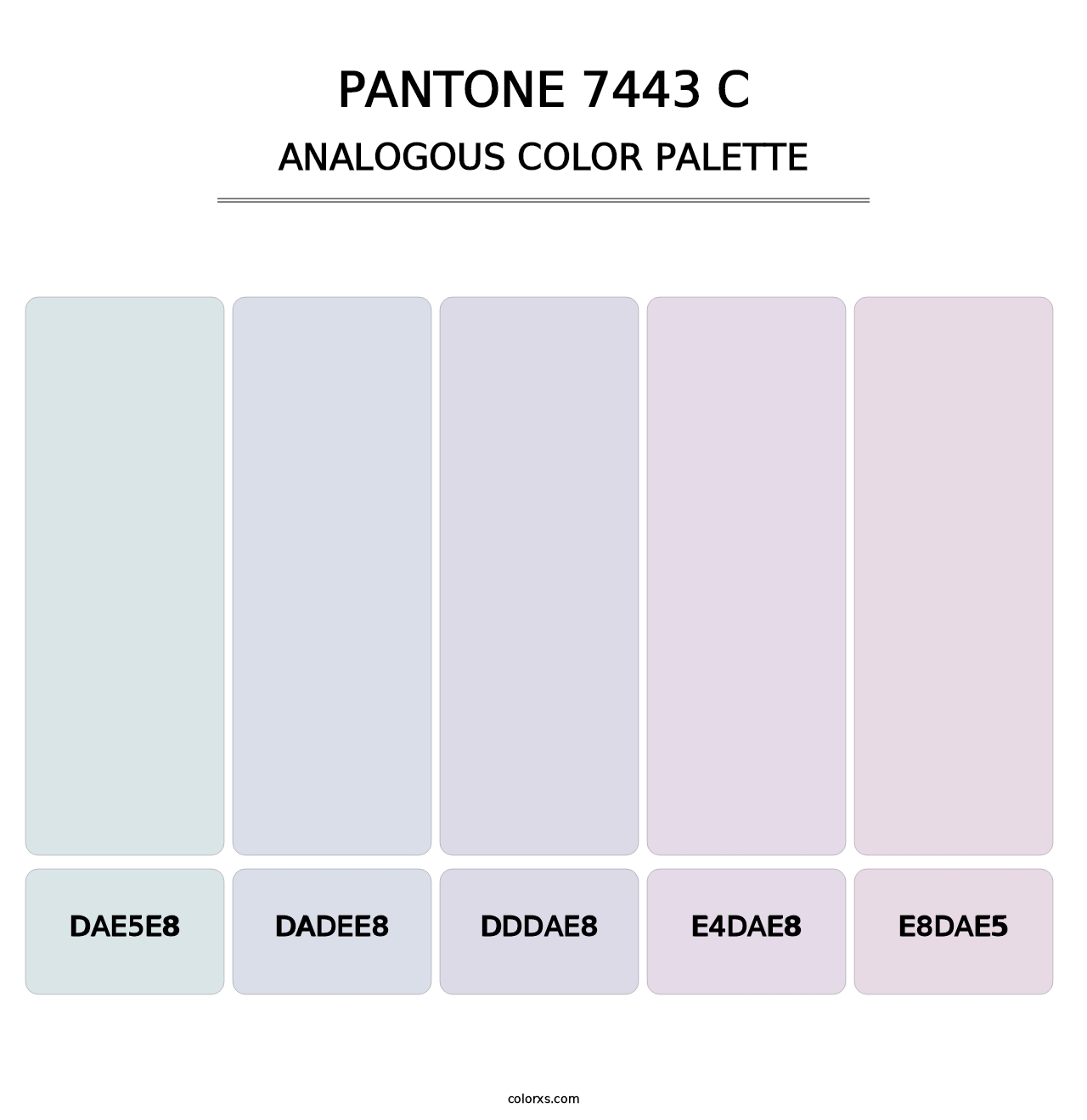PANTONE 7443 C - Analogous Color Palette