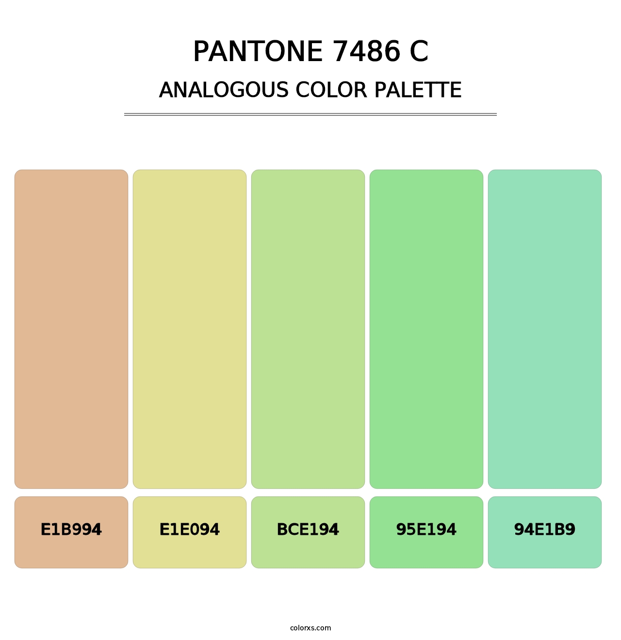 PANTONE 7486 C - Analogous Color Palette