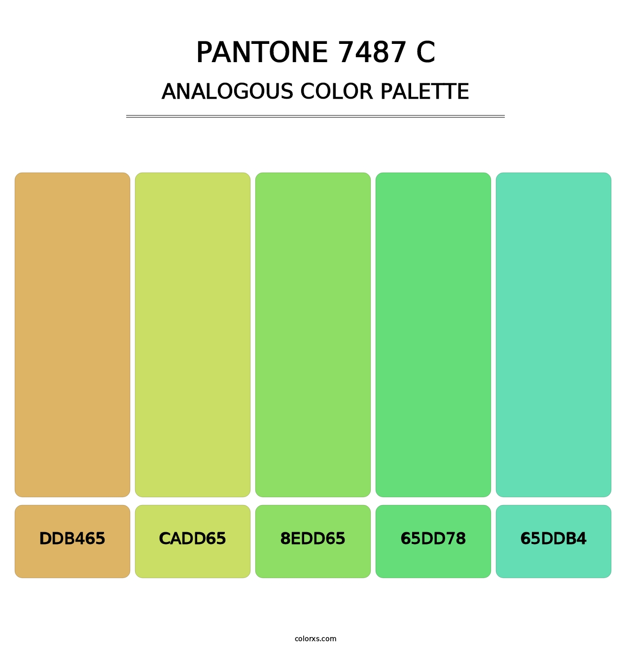 PANTONE 7487 C - Analogous Color Palette