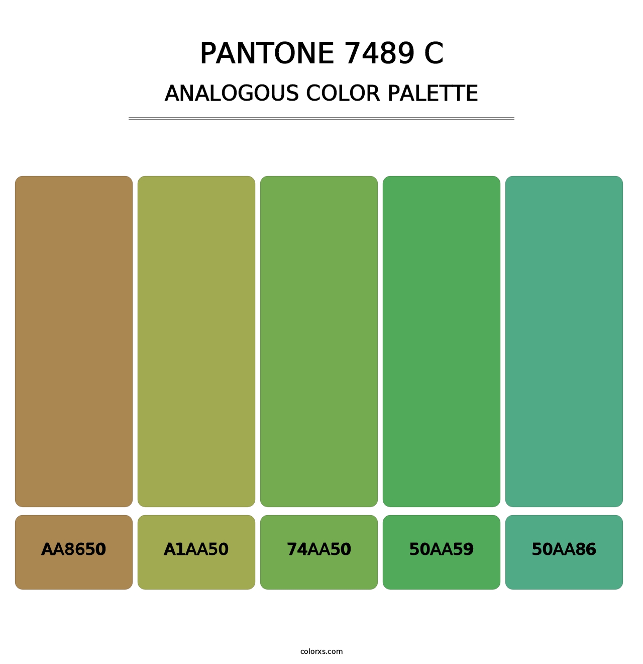 PANTONE 7489 C - Analogous Color Palette
