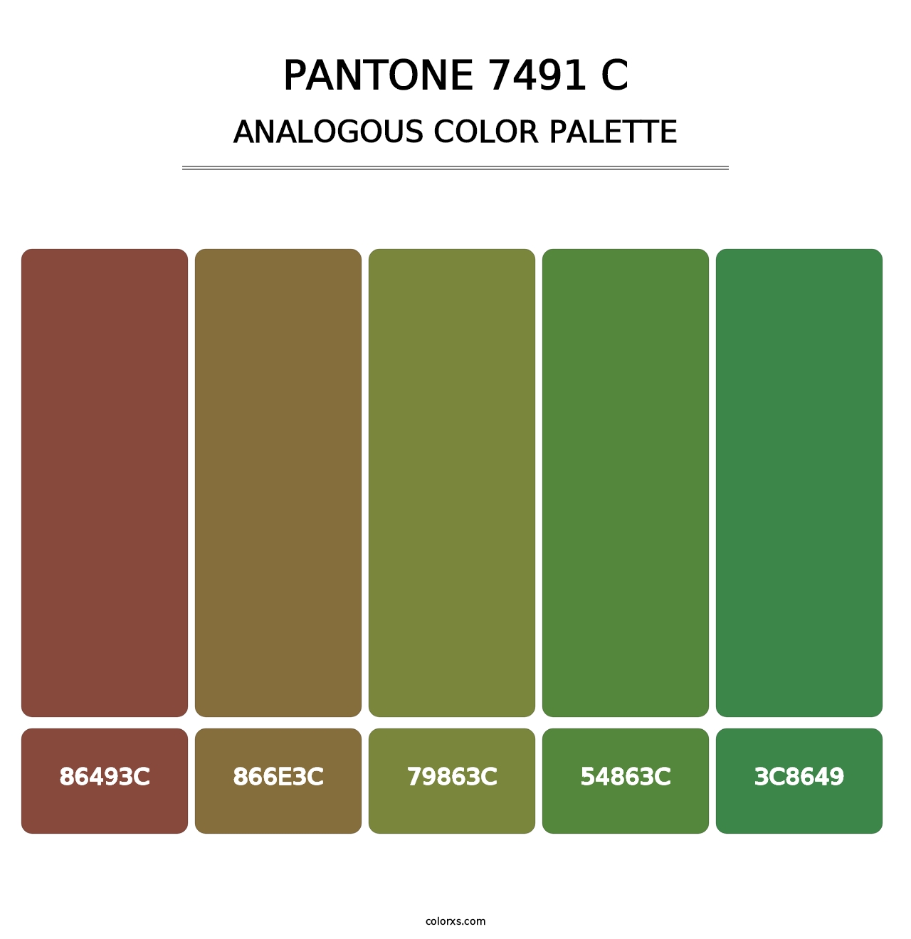 PANTONE 7491 C - Analogous Color Palette