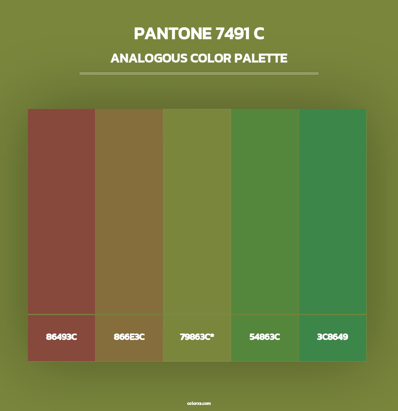 PANTONE 7491 C - Analogous Color Palette