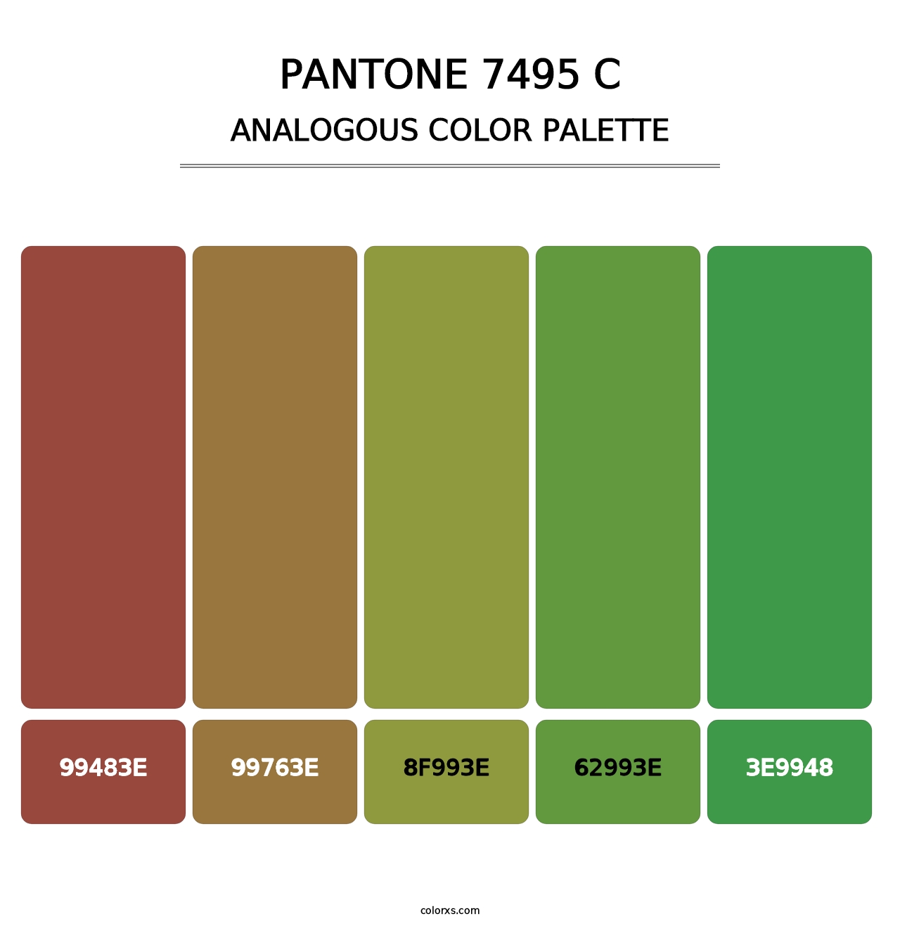 PANTONE 7495 C - Analogous Color Palette