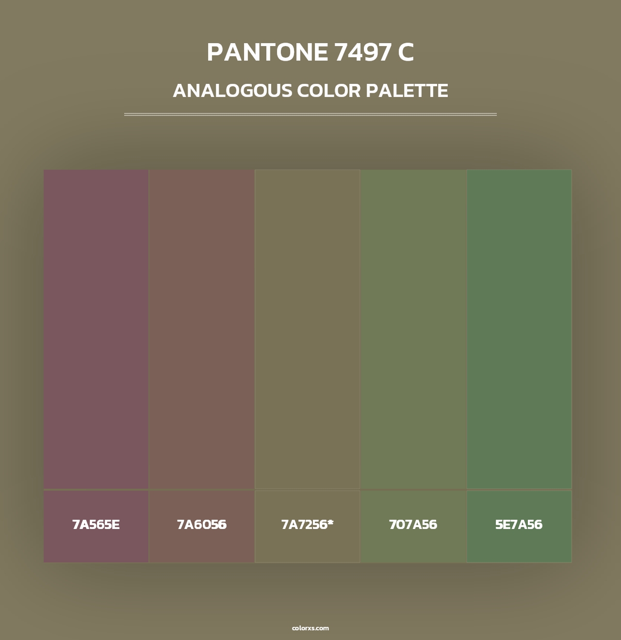 PANTONE 7497 C - Analogous Color Palette