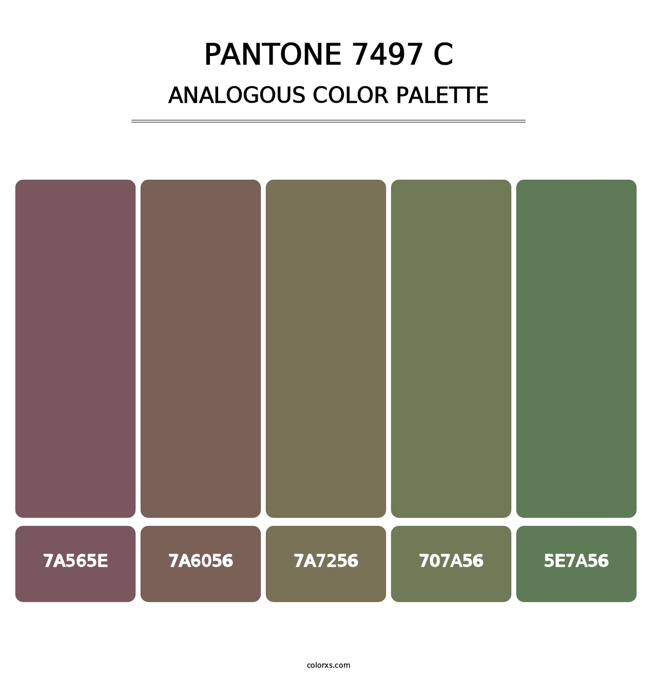 PANTONE 7497 C - Analogous Color Palette