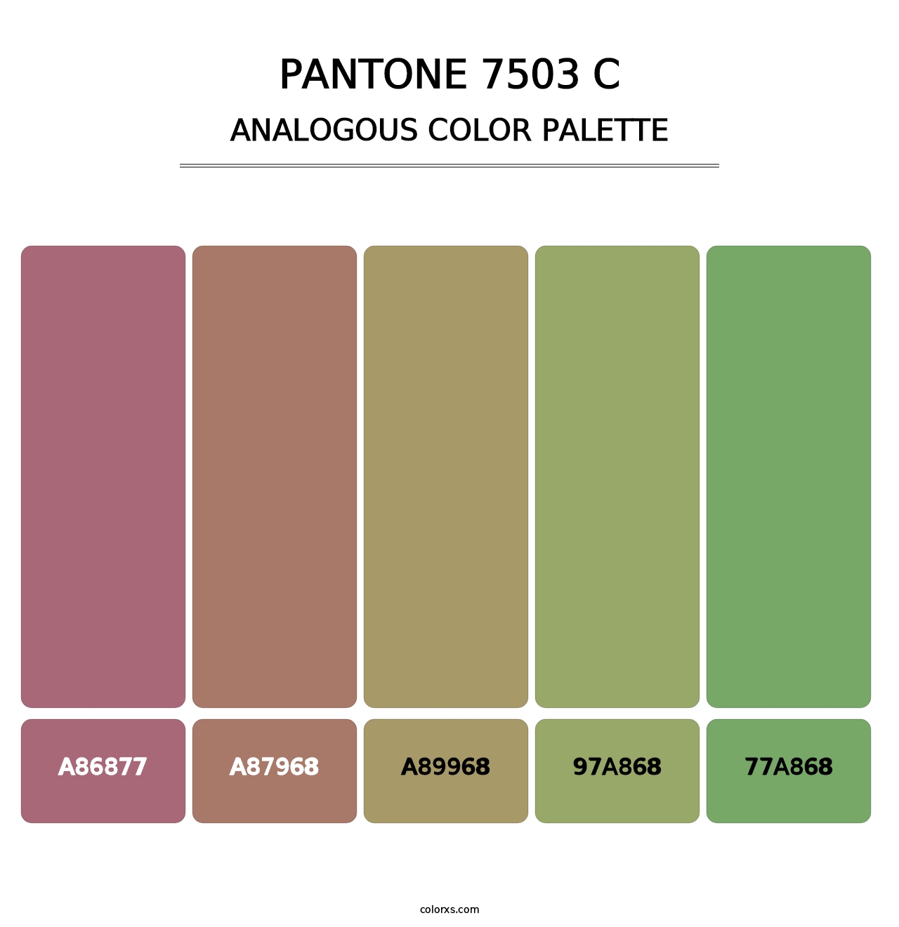 PANTONE 7503 C - Analogous Color Palette