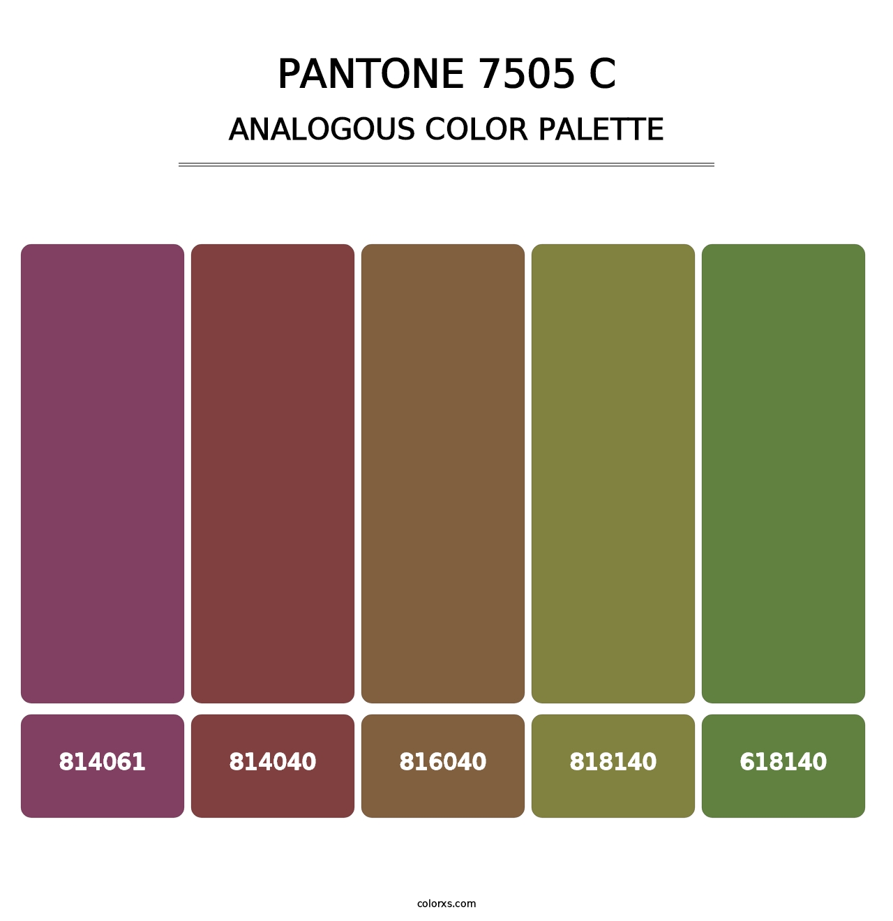 PANTONE 7505 C - Analogous Color Palette