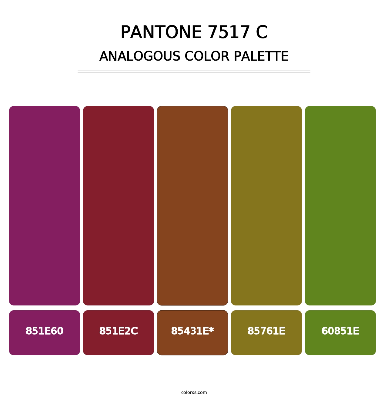 PANTONE 7517 C - Analogous Color Palette