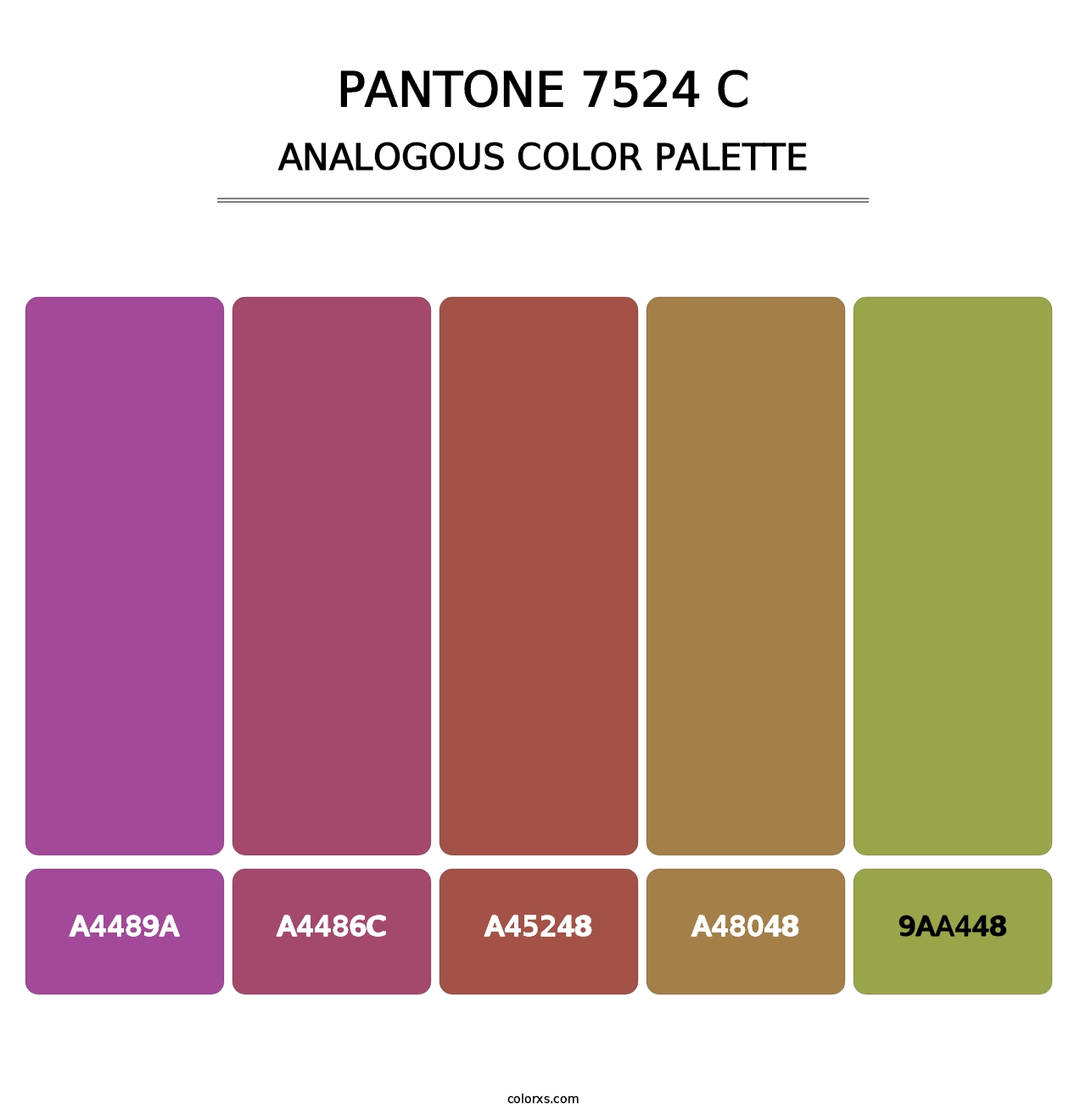 PANTONE 7524 C - Analogous Color Palette
