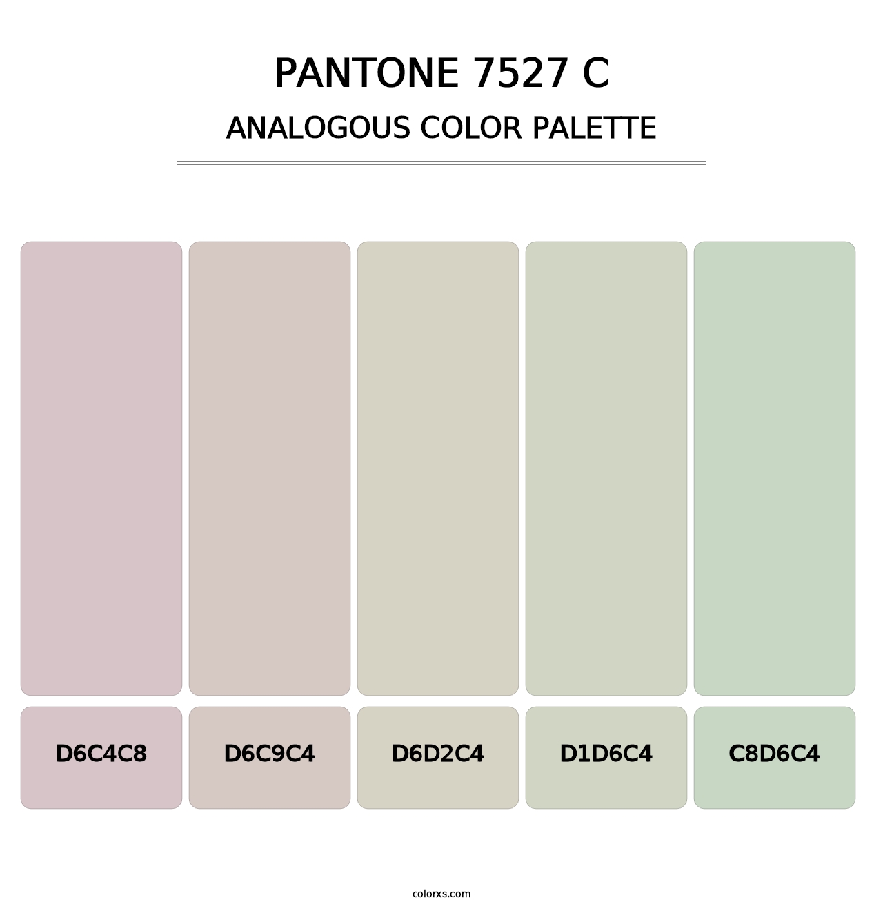 PANTONE 7527 C - Analogous Color Palette