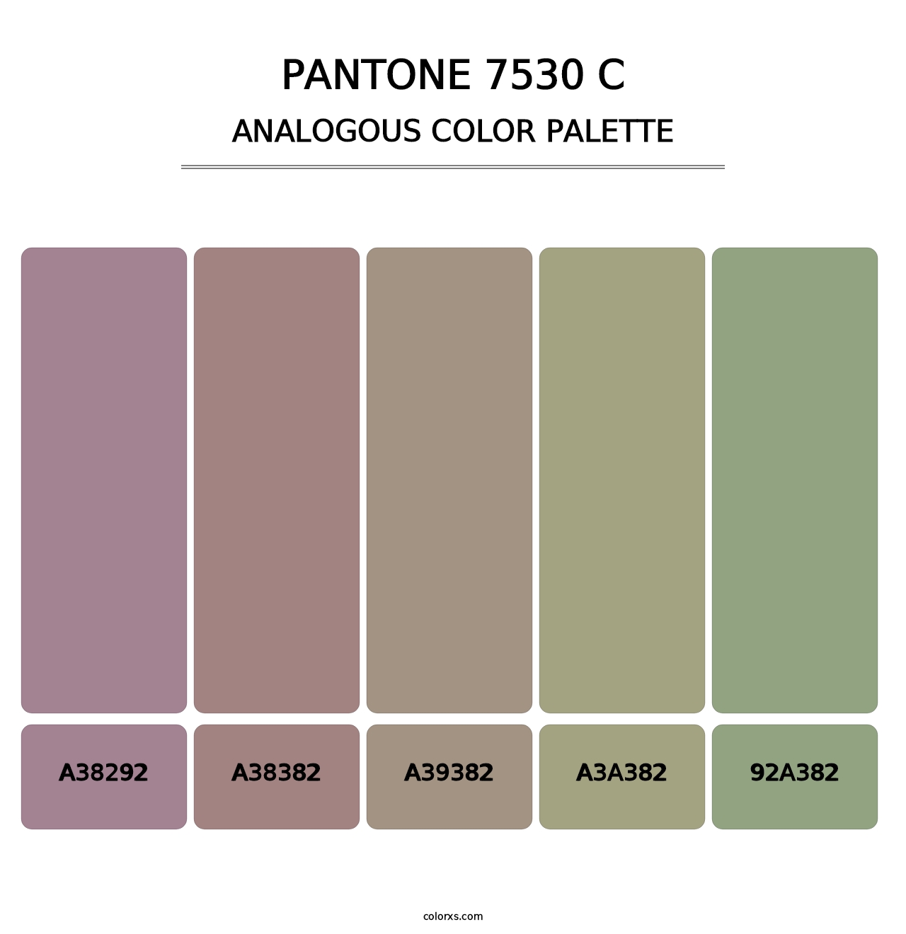 PANTONE 7530 C - Analogous Color Palette