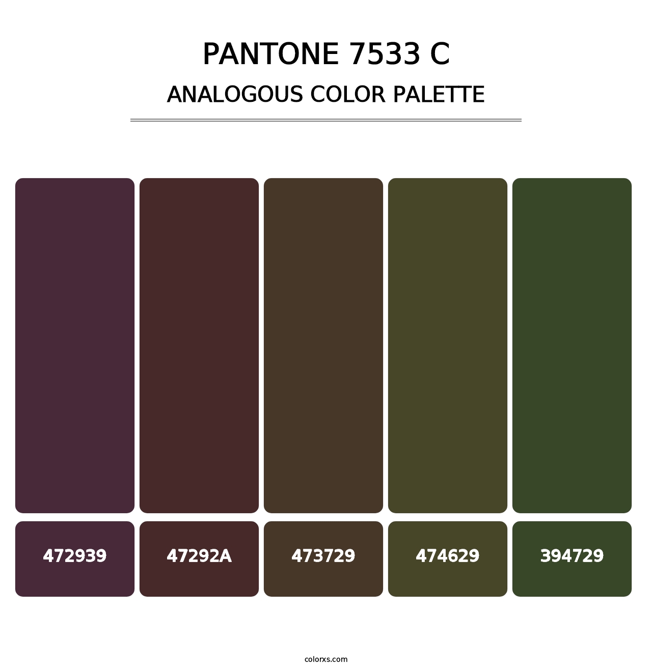 PANTONE 7533 C - Analogous Color Palette